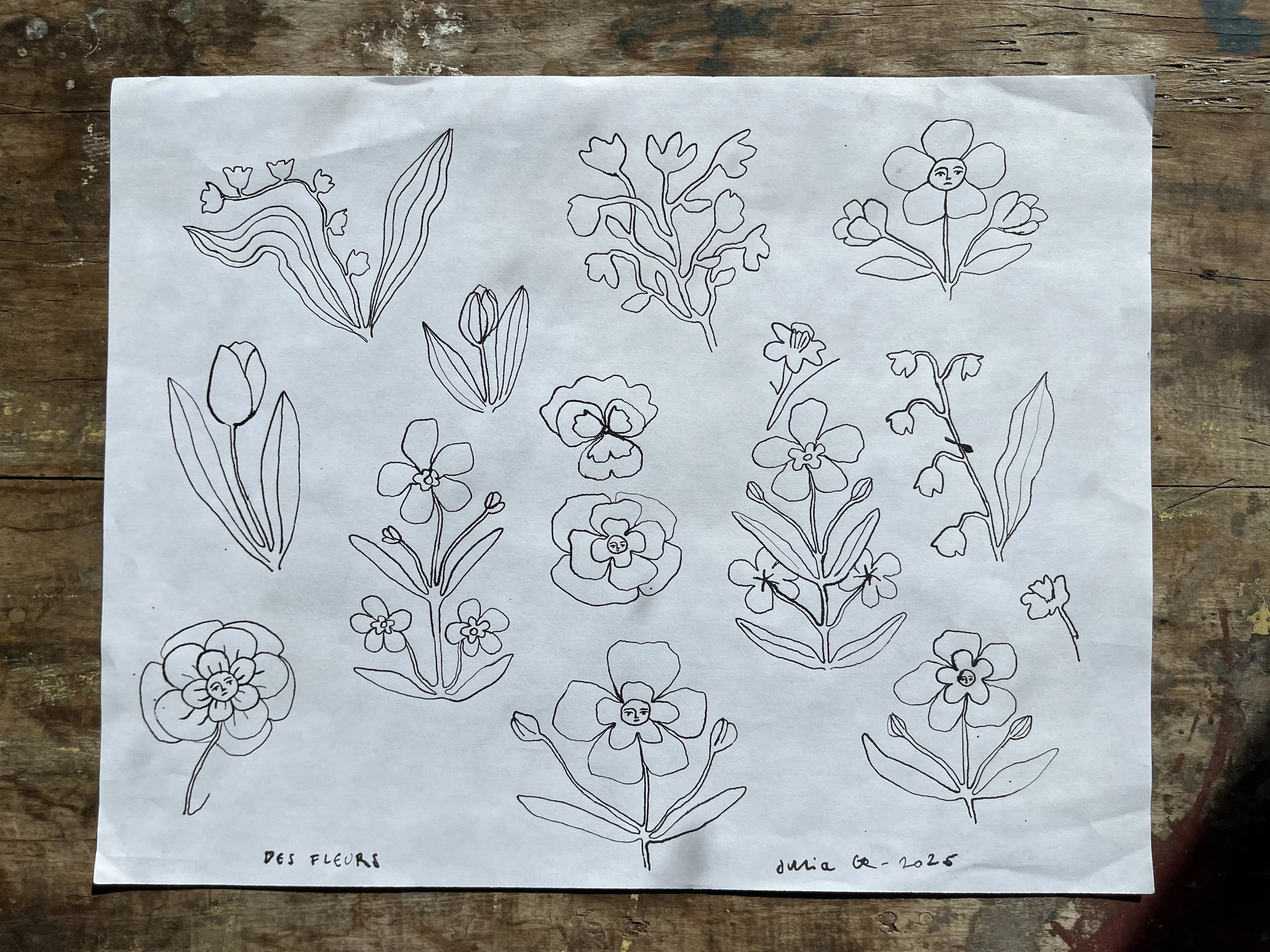 JuliaGR-DesFleurs-01.jpg