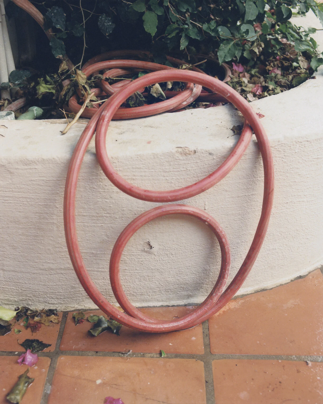 CJA_SCAN_2019_005.jpg