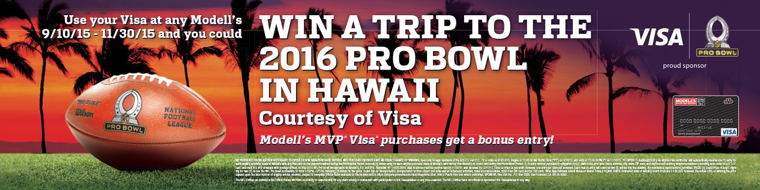 Visa-NFL_DoorCling_24x6_Final911_X1A.jpg