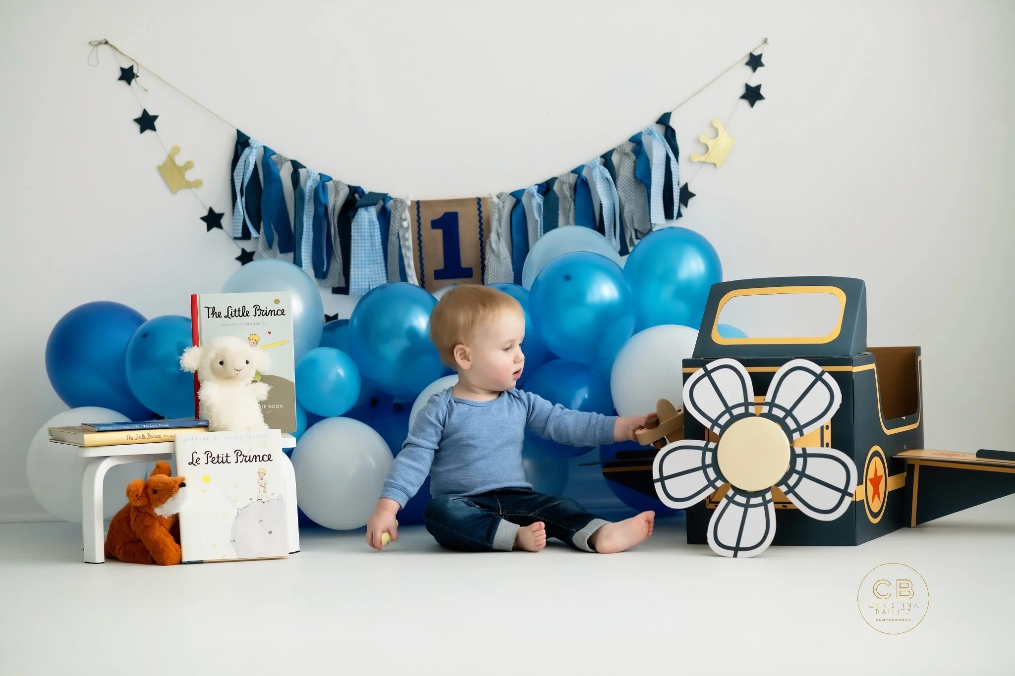 la petit prince first birthday photo session.jpg
