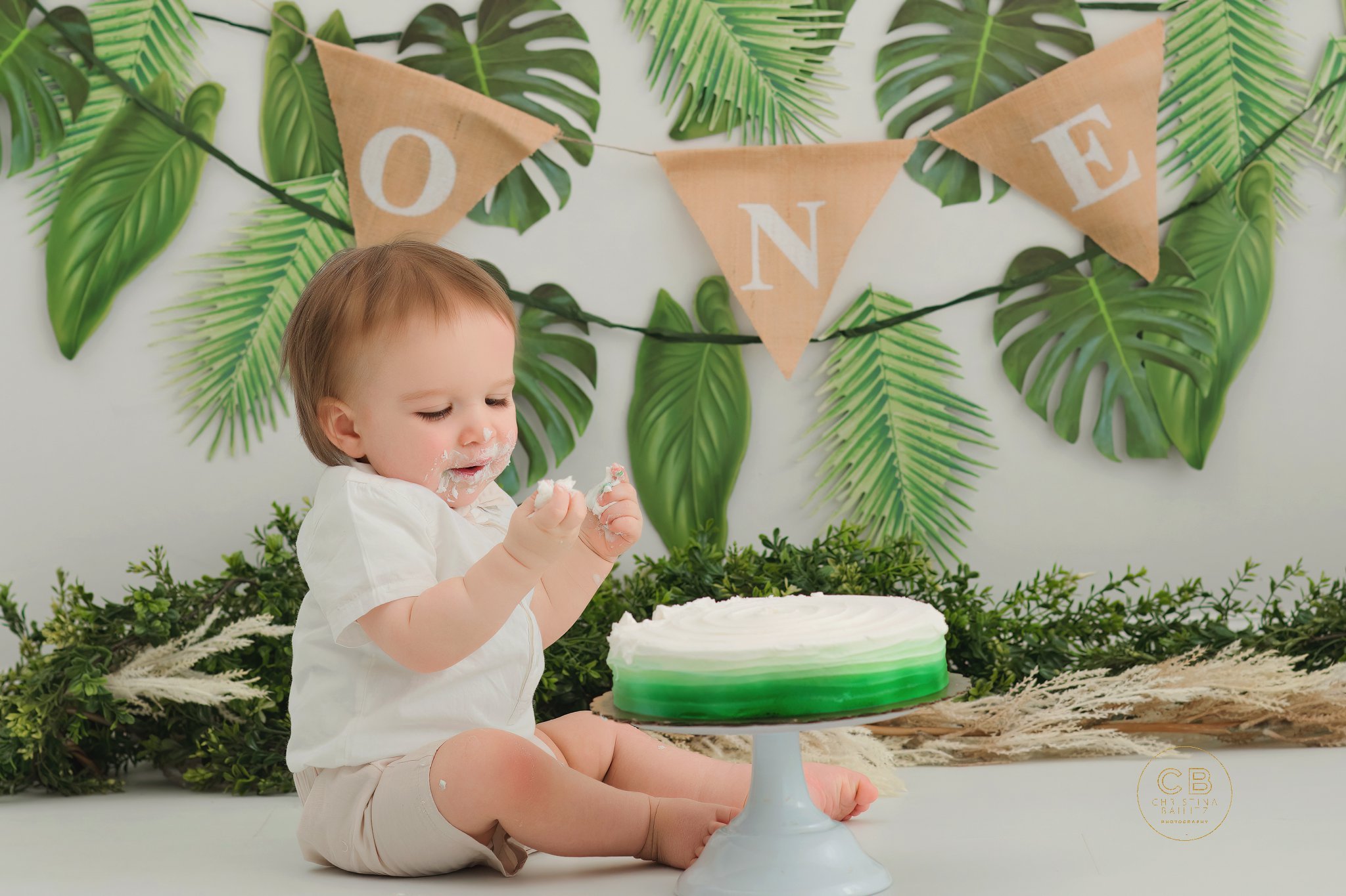 christina-bailitz-photography-first-birthday-photography-chicago-_0116.jpg