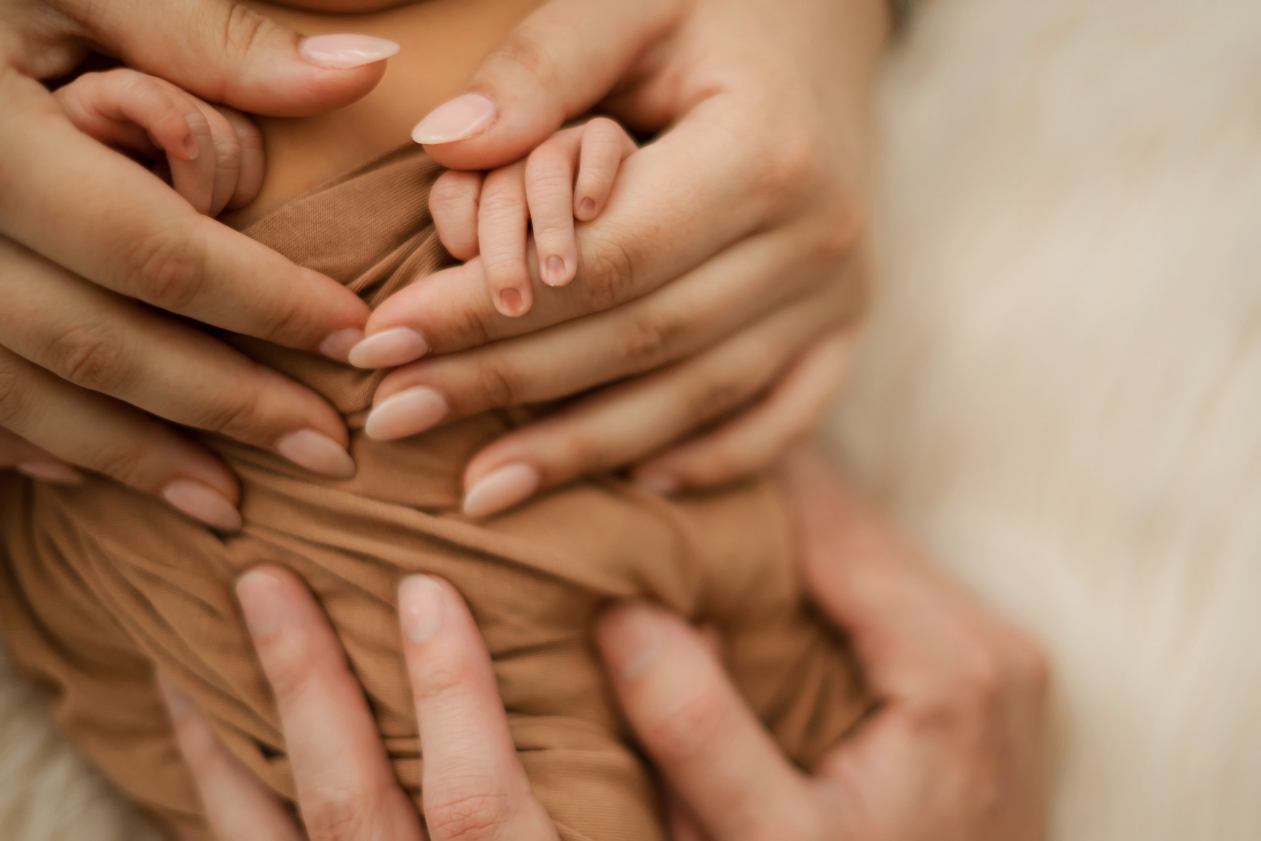 Family Hands connecting during a newborn session in the studio