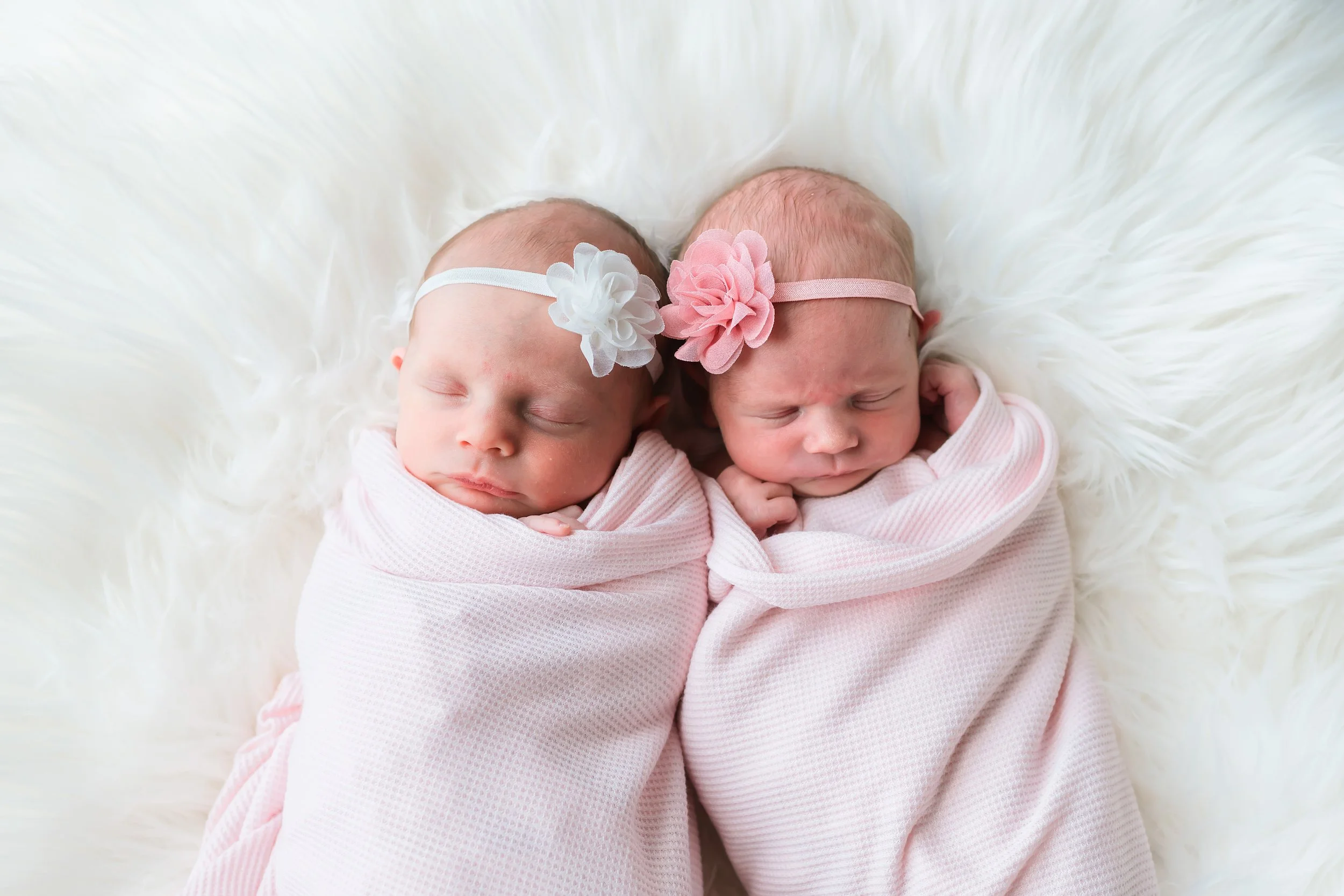 Twin baby girls newborn session 