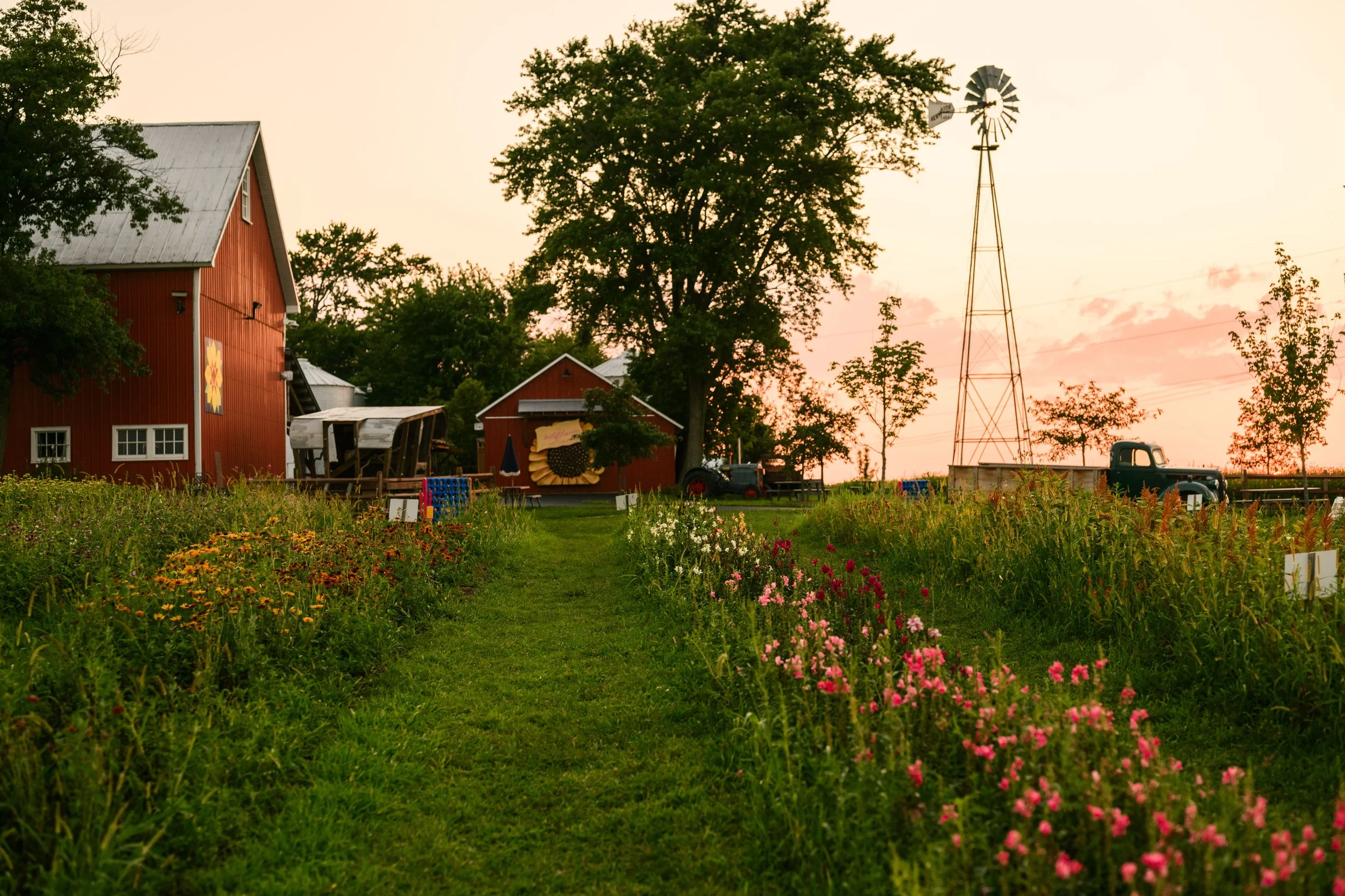 Link to book the Wildflower Farm Sessions