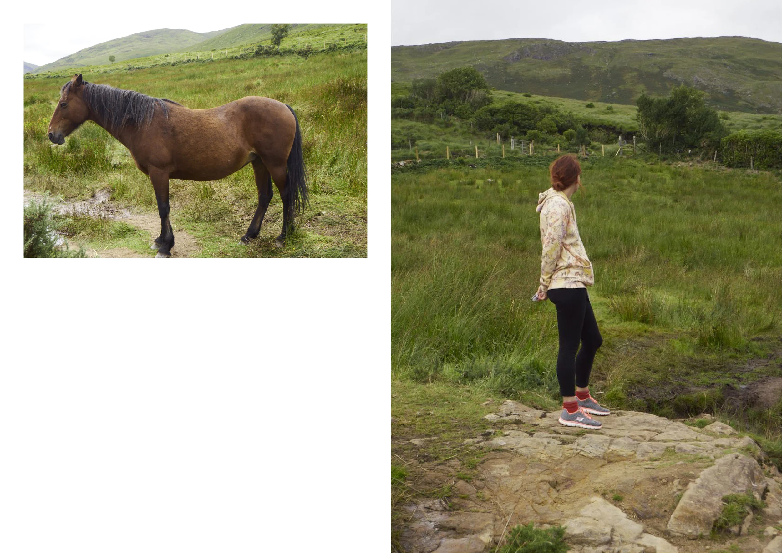 Reportage Fotos Irland9.jpg