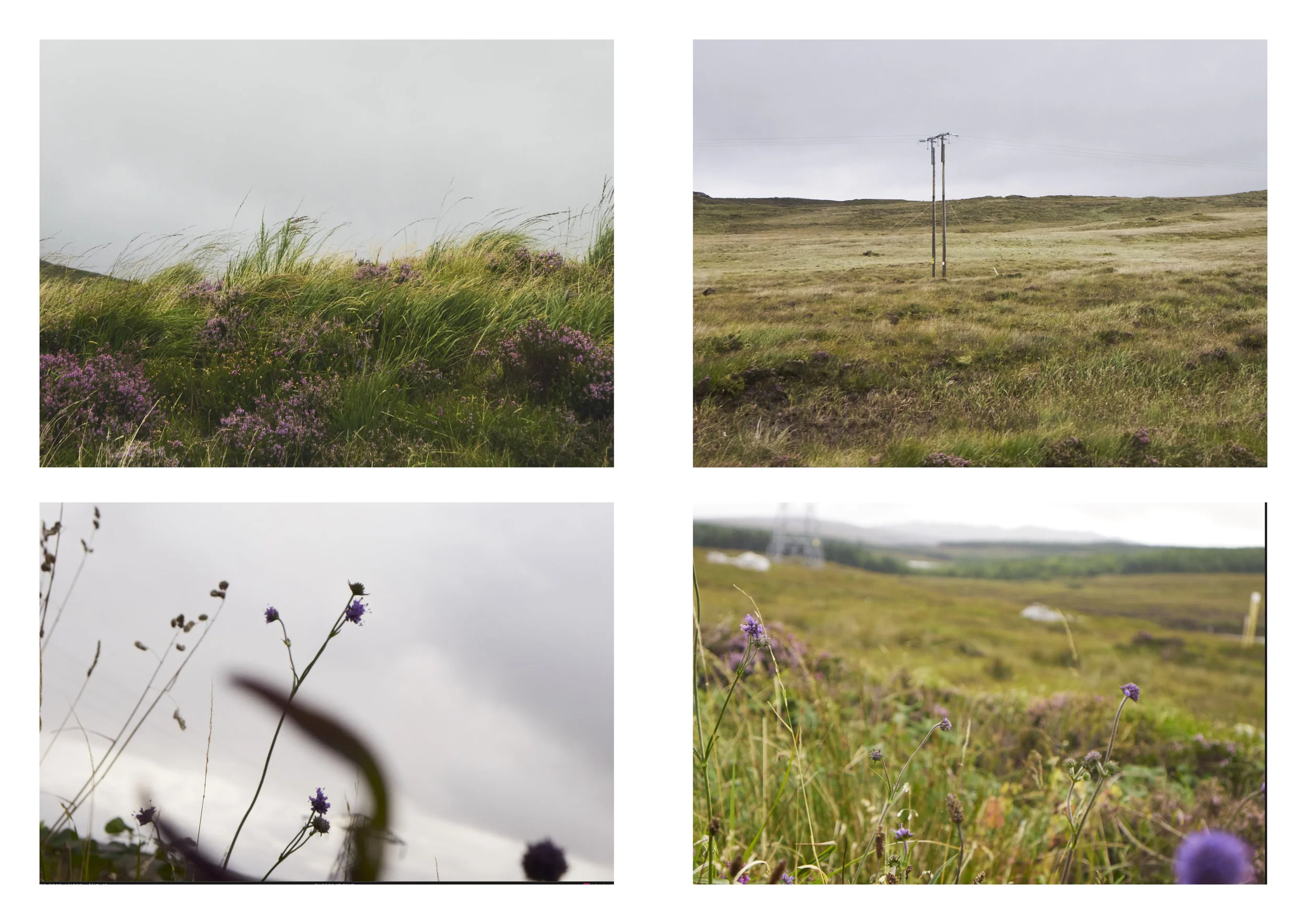 Reportage Fotos Irland27.jpg
