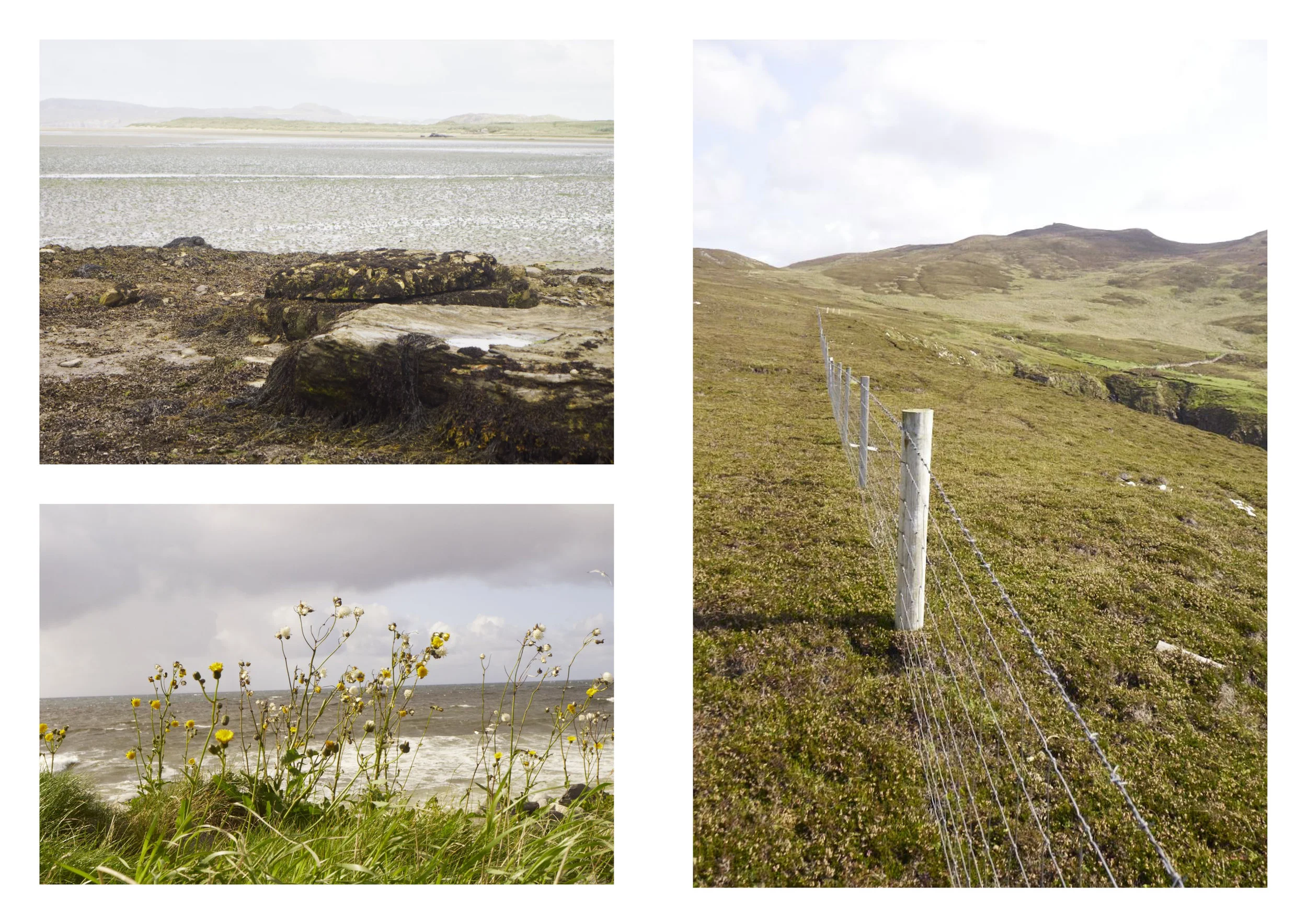 Reportage Fotos Irland34.jpg