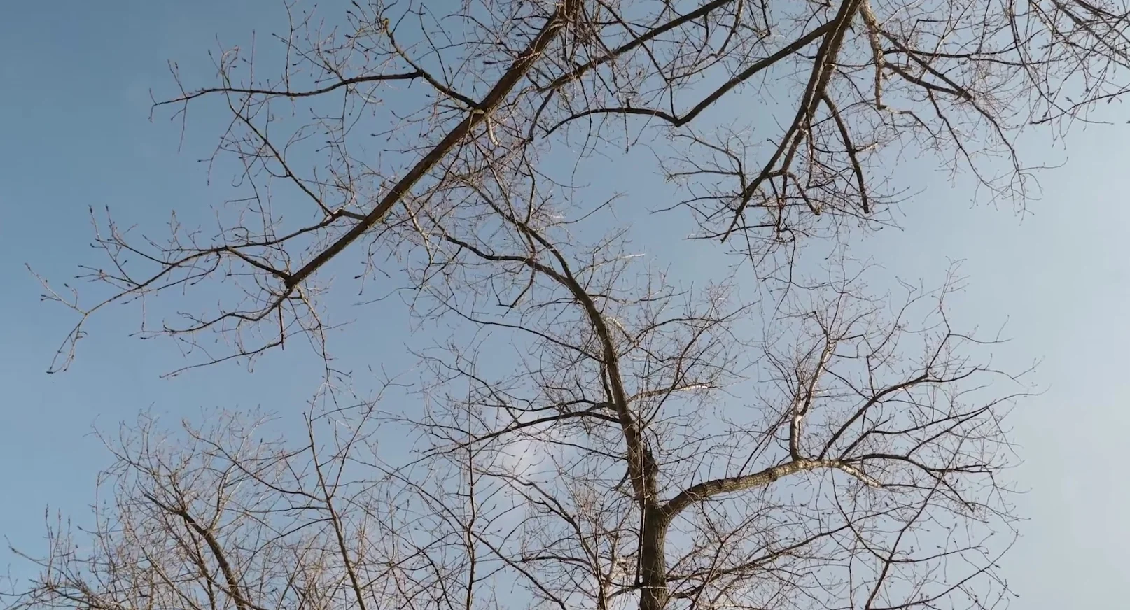 Filmstill Annäherung.jpg