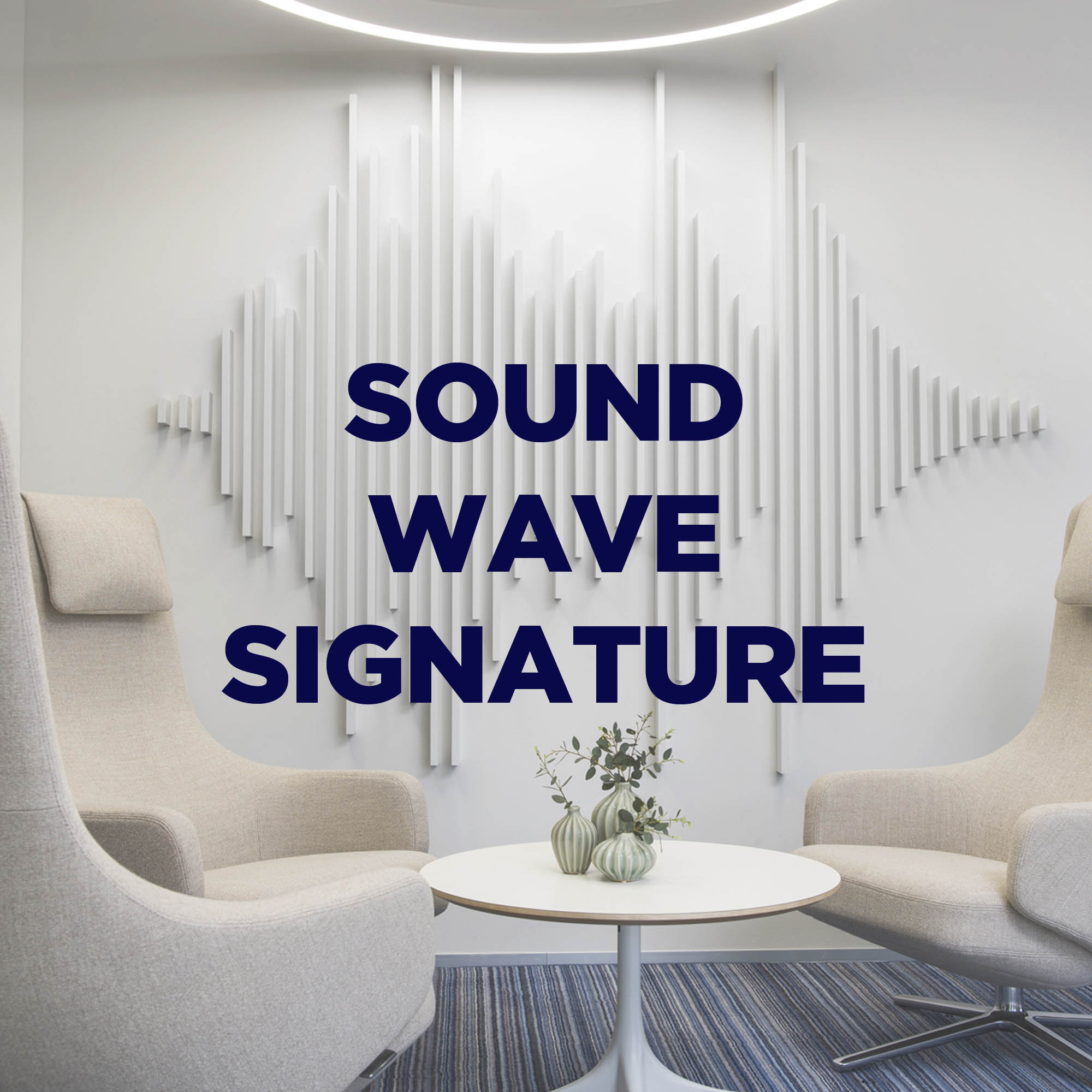 Sound Wave Signature