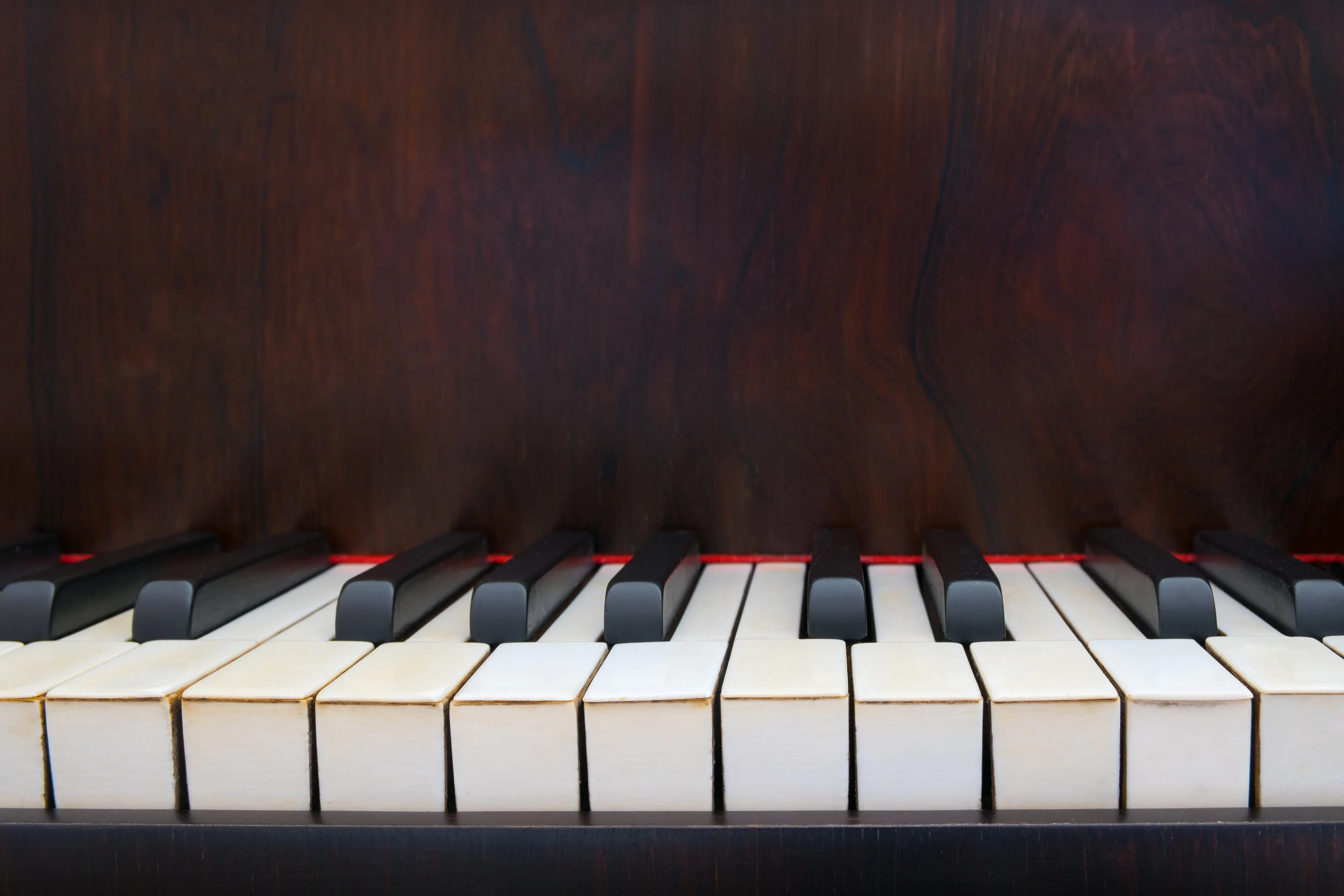 Our Programs Piano Keys Learn Teacher.jpeg