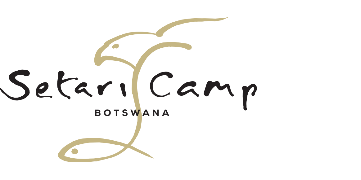 Setari Poster Our Camps — Setari Camp