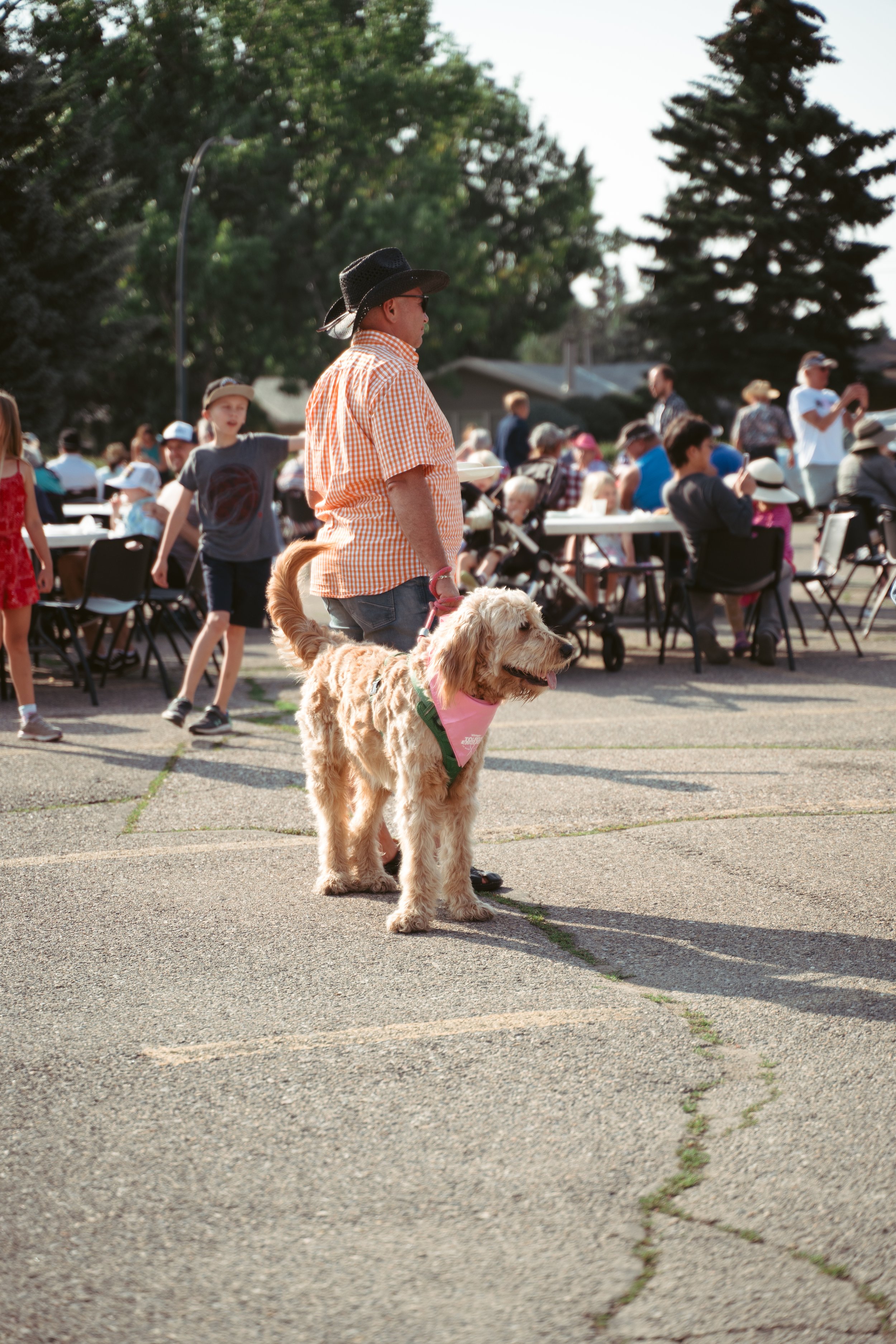 Dog+Crowd.jpg