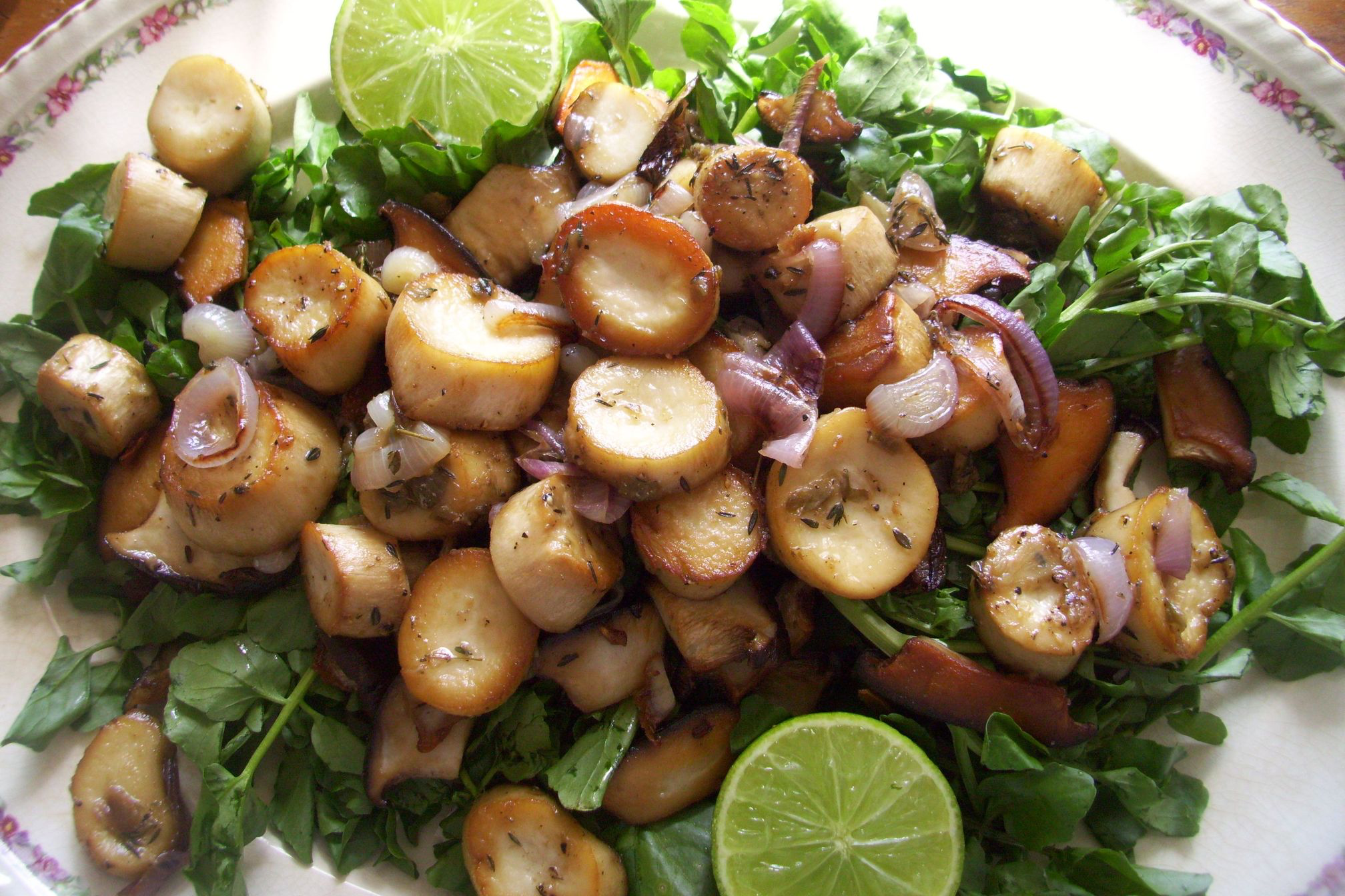 King Oyster Scallop Salad