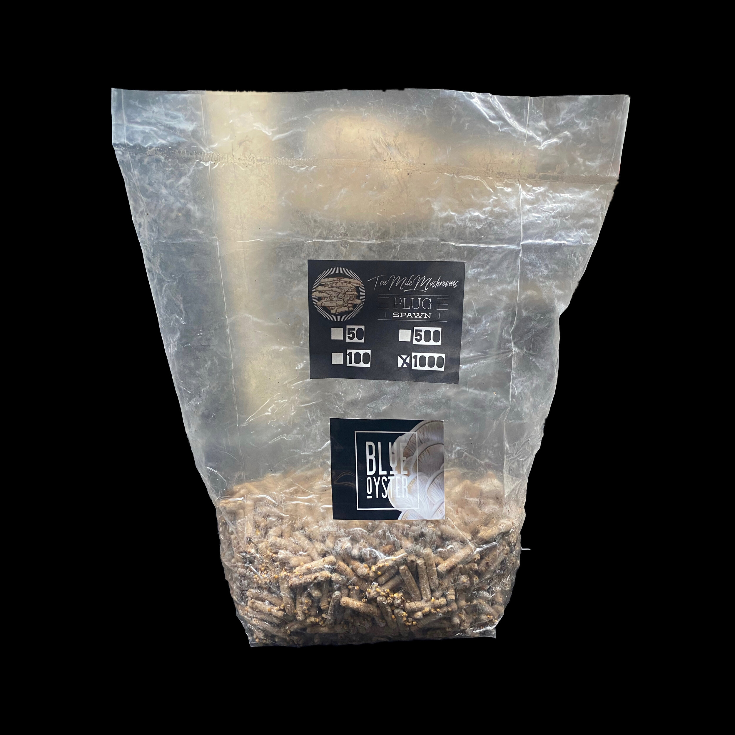 Blue Oyster Plug Spawn