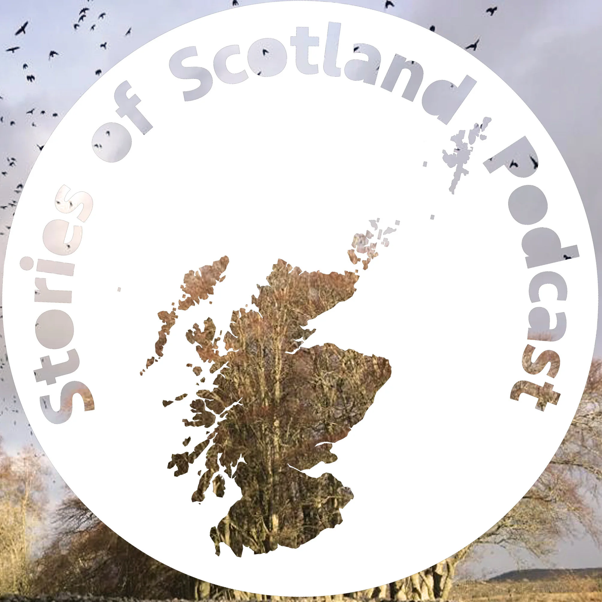 Scottish Granny: Poppies &amp; Prisoners