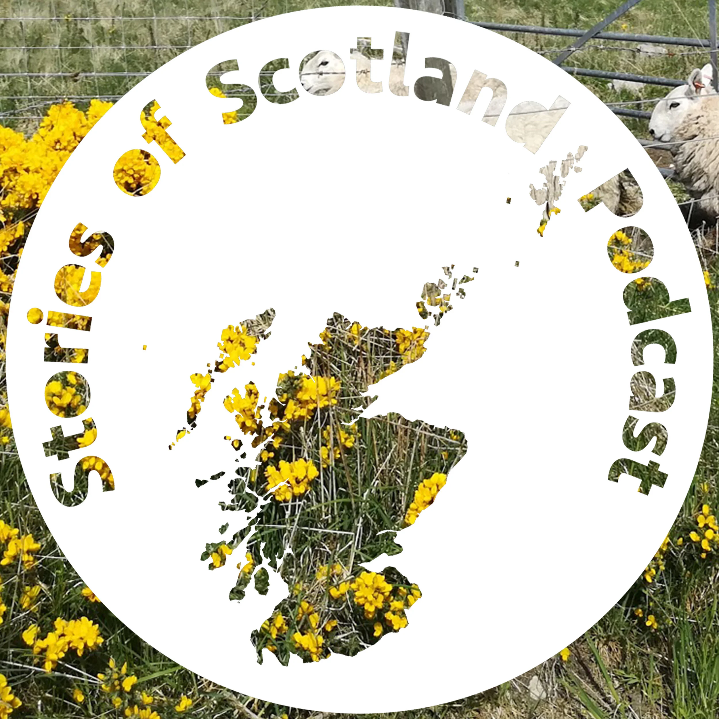 Love in the Lowlands