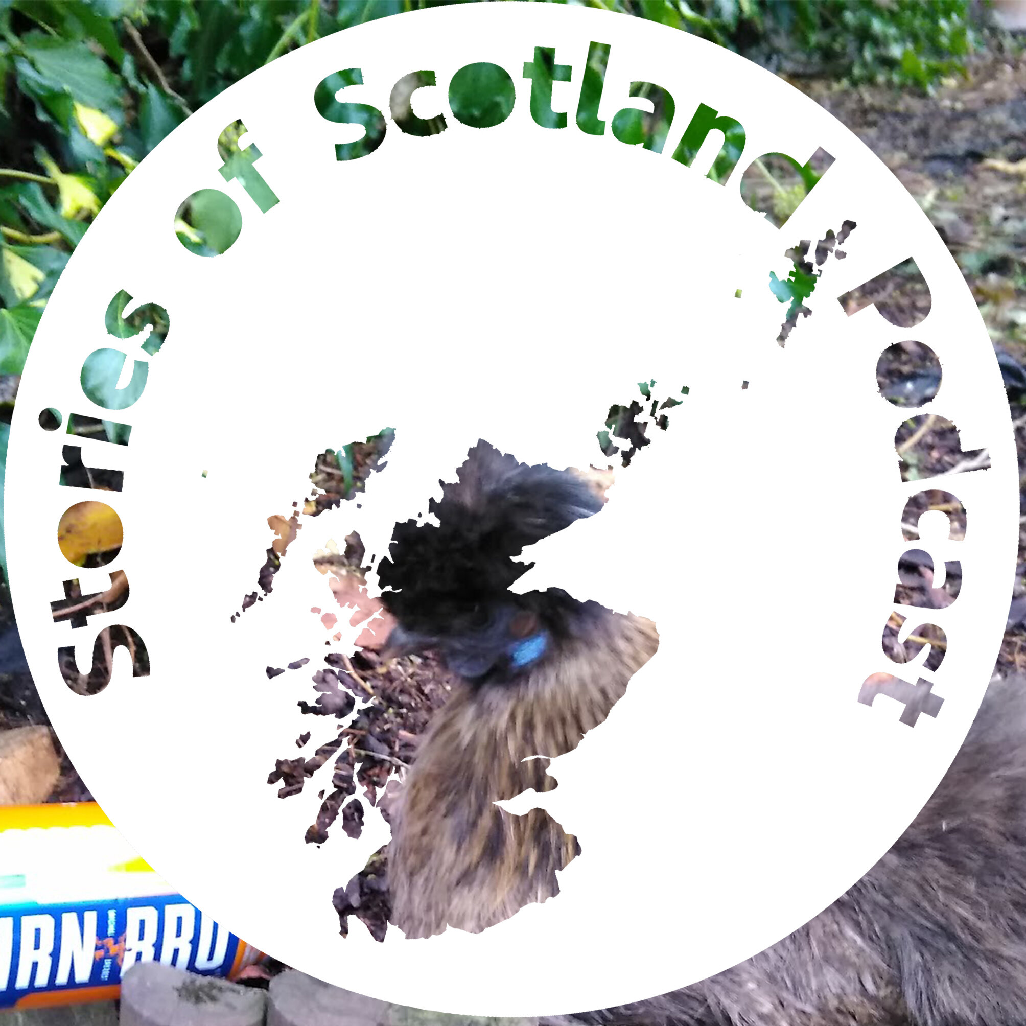 A Hilarious History of the Haggis: Burns Night Special