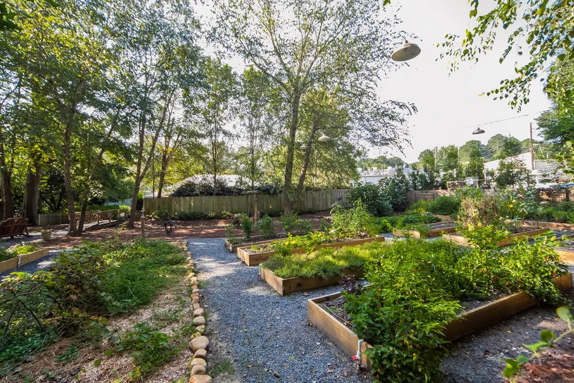 Canoe garden.jpg