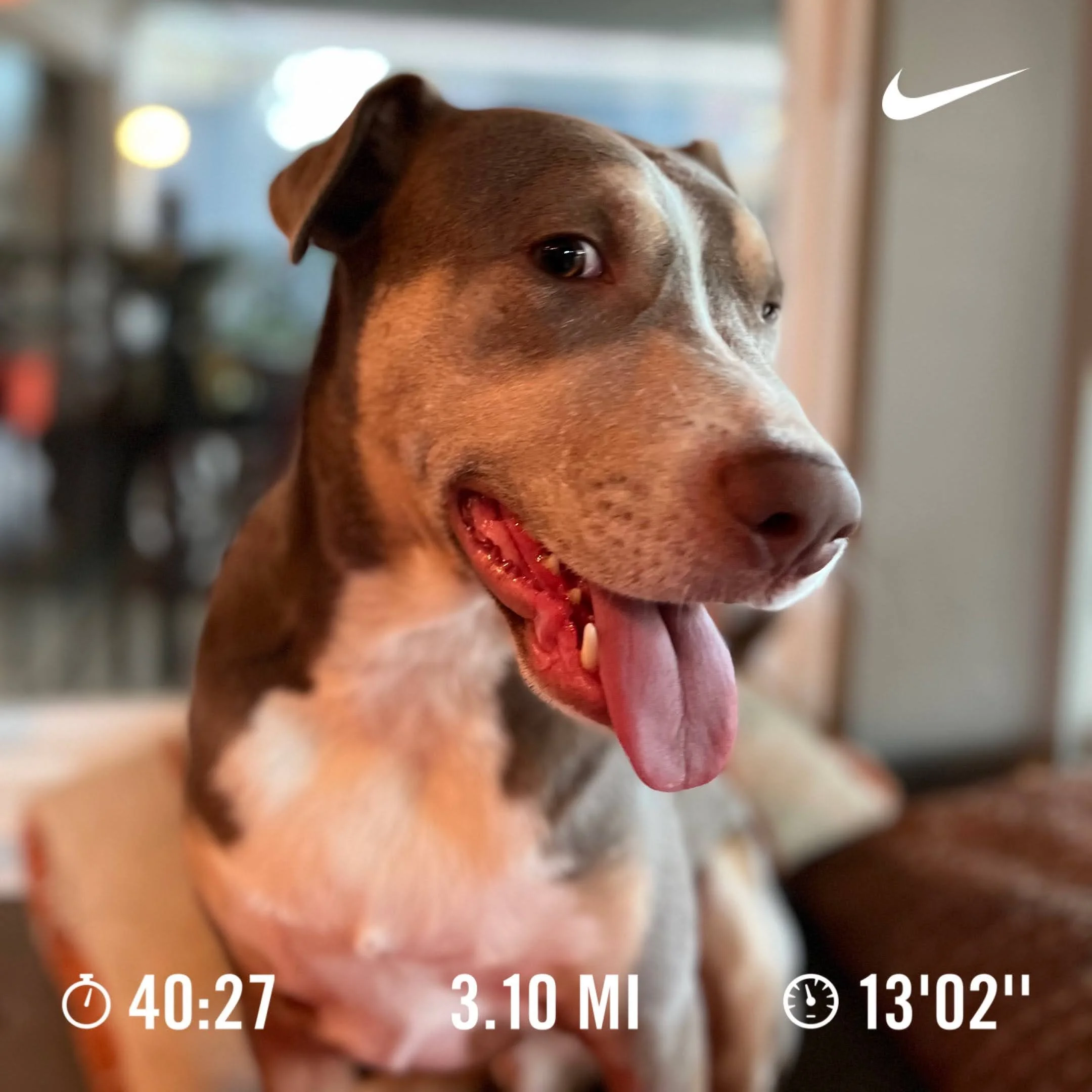 Better Slow than Never