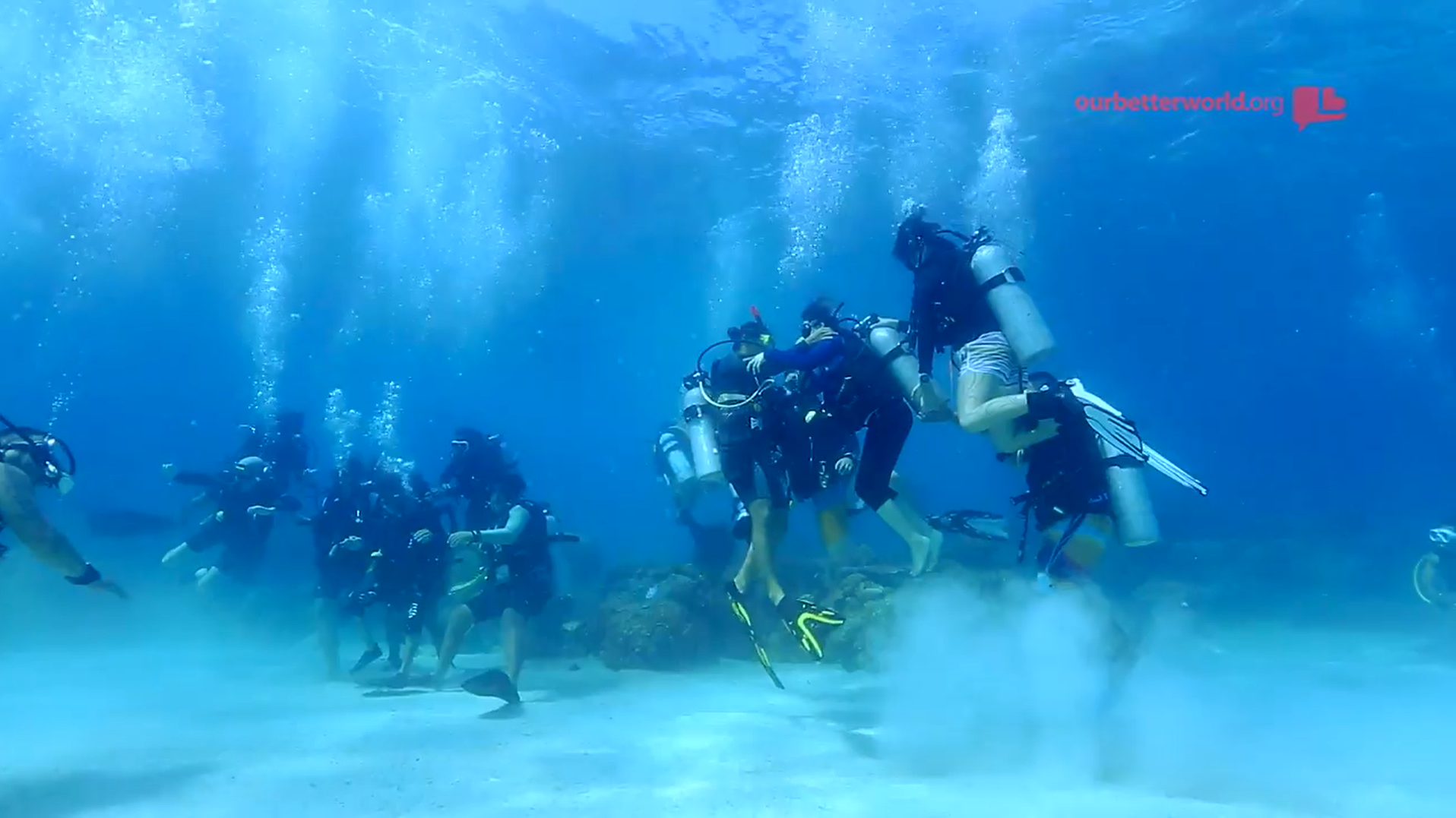 They Can't Walk but They Can Dive