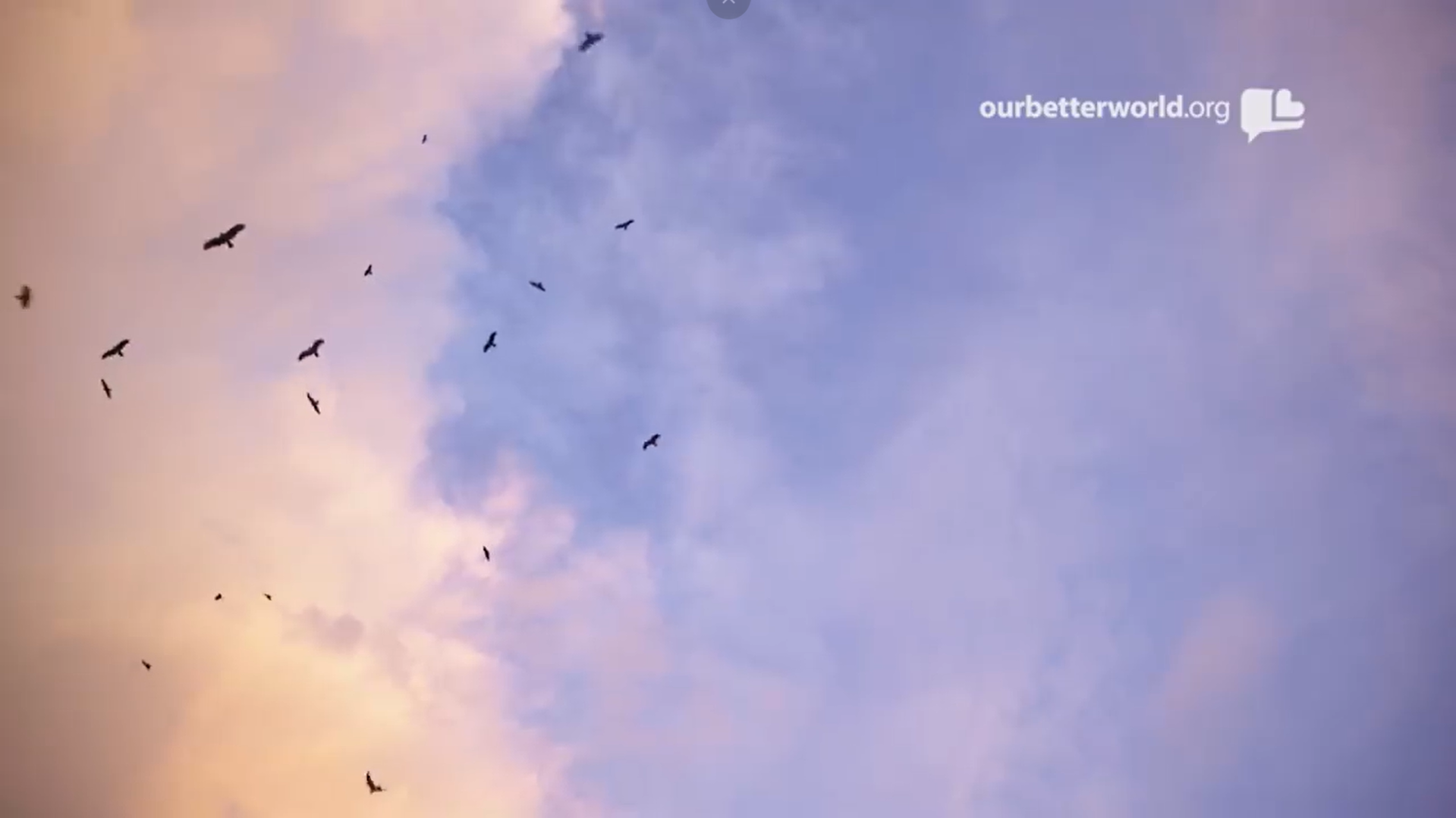 Breaking The Silence on Child Sexual Abuse