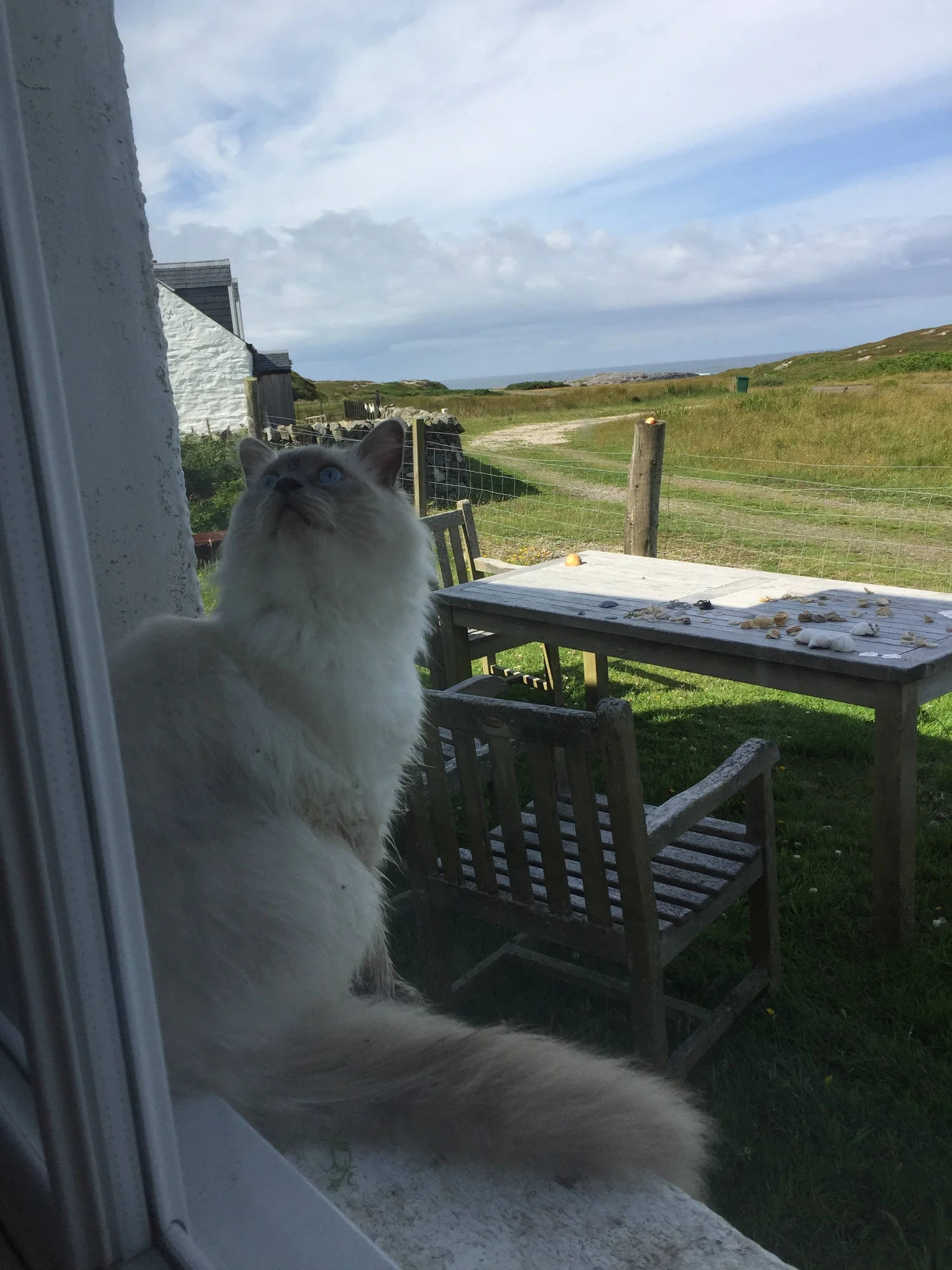 Guests Comments Garta Cottage Colonsay