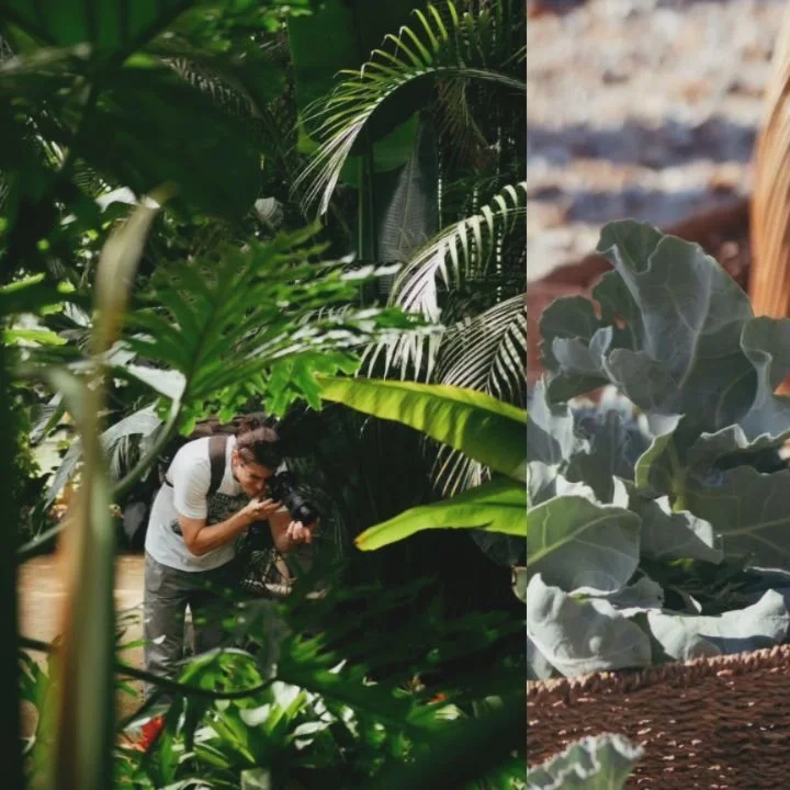 💚postcards from my brat summer💚
1. France with Jack
2. 🌊 foraging
3. more sea foraging with kiki
4. the brightest star of them all✨
5. forest fairy (more pics to come of my favourite shoot ever 🪷)
6. moving in daaaaaay🏡
(better late than never)