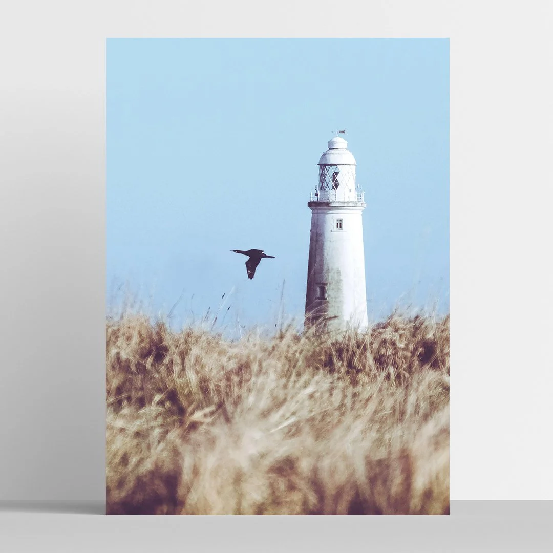 st-marys-lighthouse-bird-photo-print.jpg