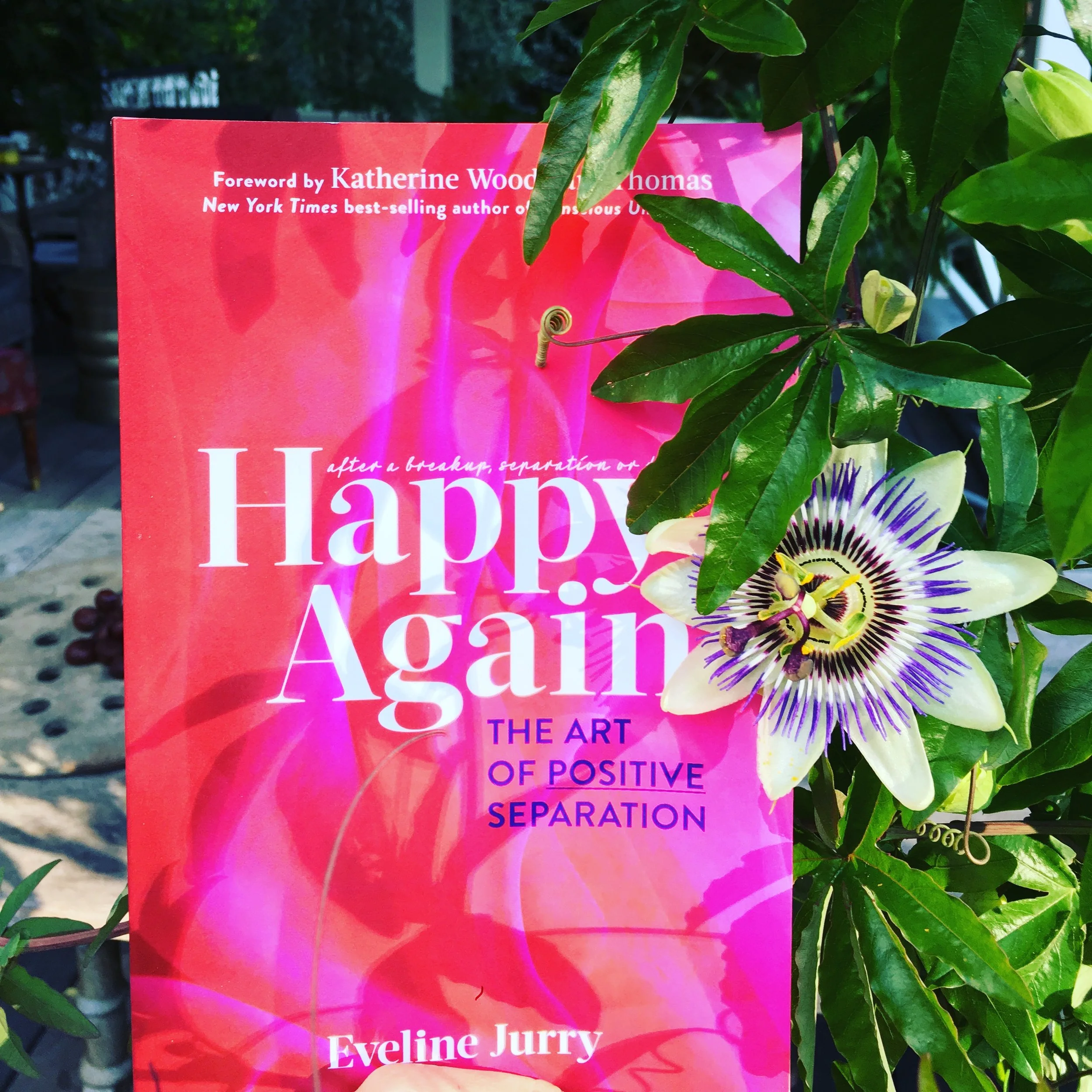 @happyagain #johnsgarden #passiflora