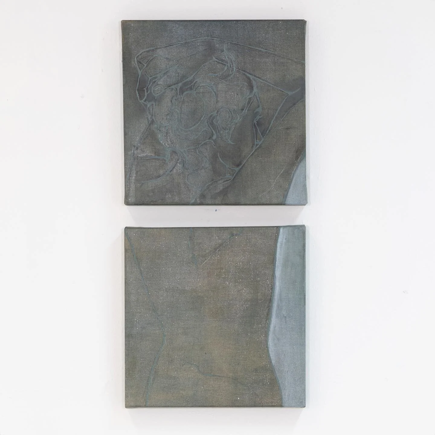 I am actually very shy 
Pigment, graphite, colour pencil and oil on linen
40 x 40 x 4 cm (x2) 

.
.
.
.
.
.
.
.
.
.
.
.
.
.
.
.
.
.
.
.
.
All works available for purchase PM for details 
.
.
.

#fineart&nbsp;#lineart #artistoninstagram #pencil #portr