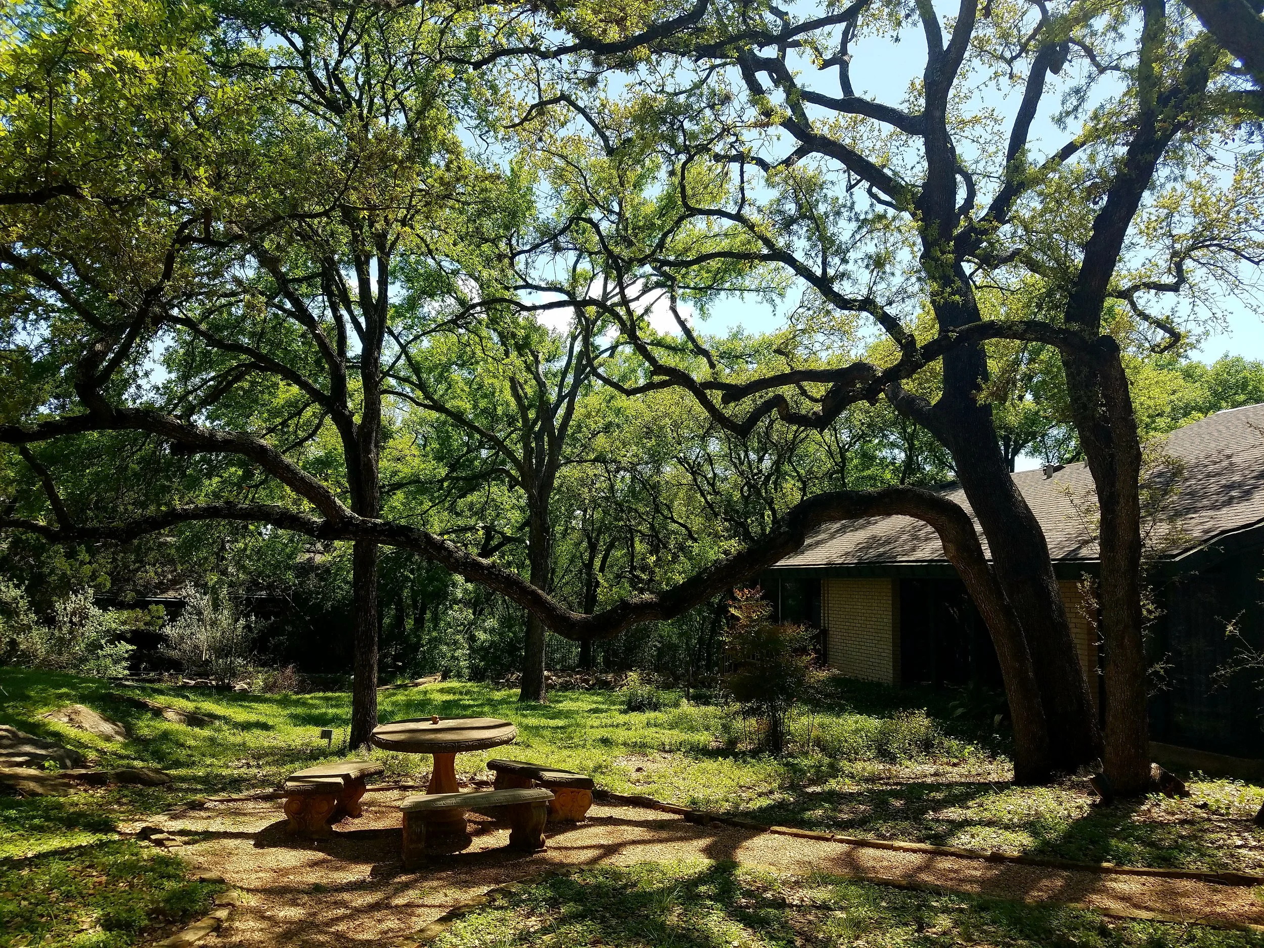 Wallingwood-07.jpg