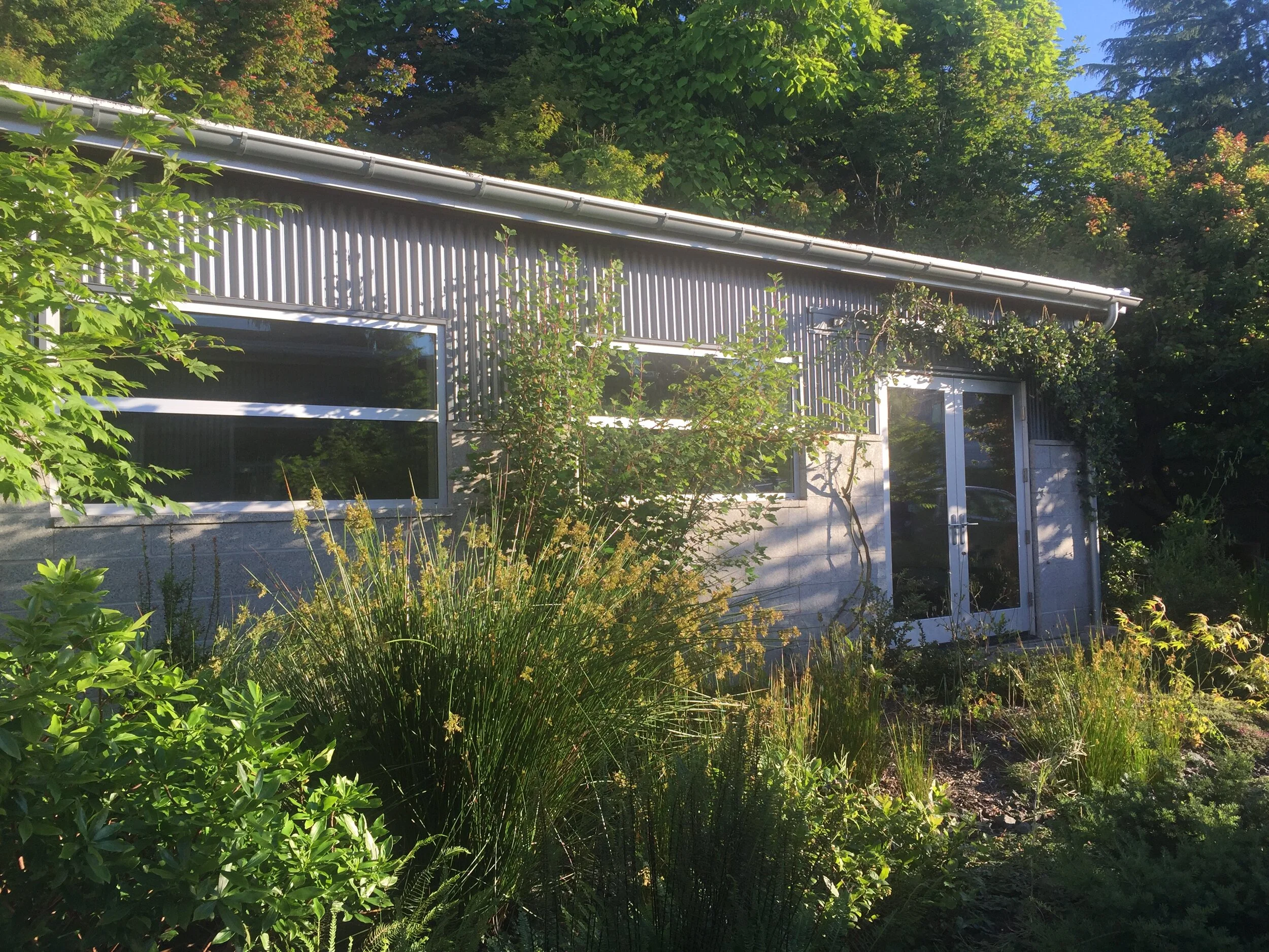 Cato Residence 7.jpg