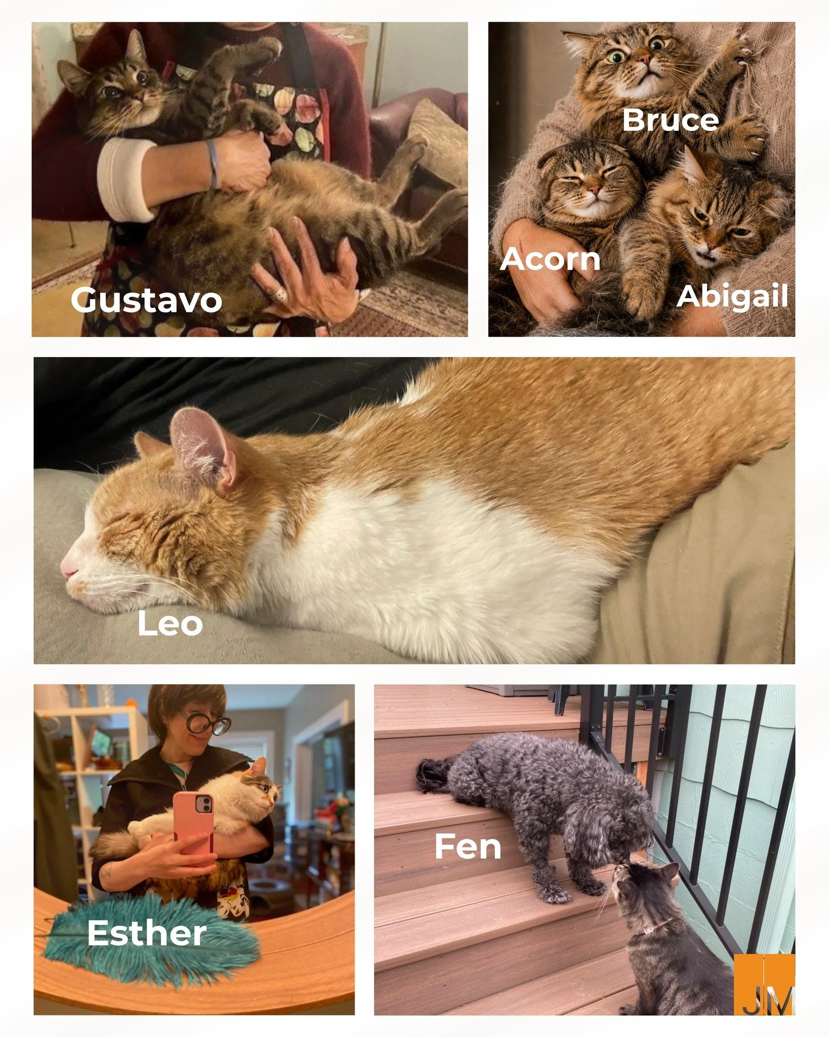 Happy National Hug Your Cat Day from all of us at Jackson Main | Architecture! 🐾

We love our furbabies and celebrate every form of feline affection &ndash; paw-some, awesome, and claw-some. 

#JacksonMainArchitecture #FelineGood #FelineFriday #purr