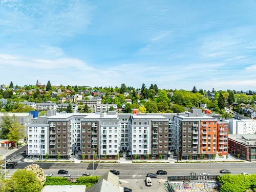 rainier 2.webp