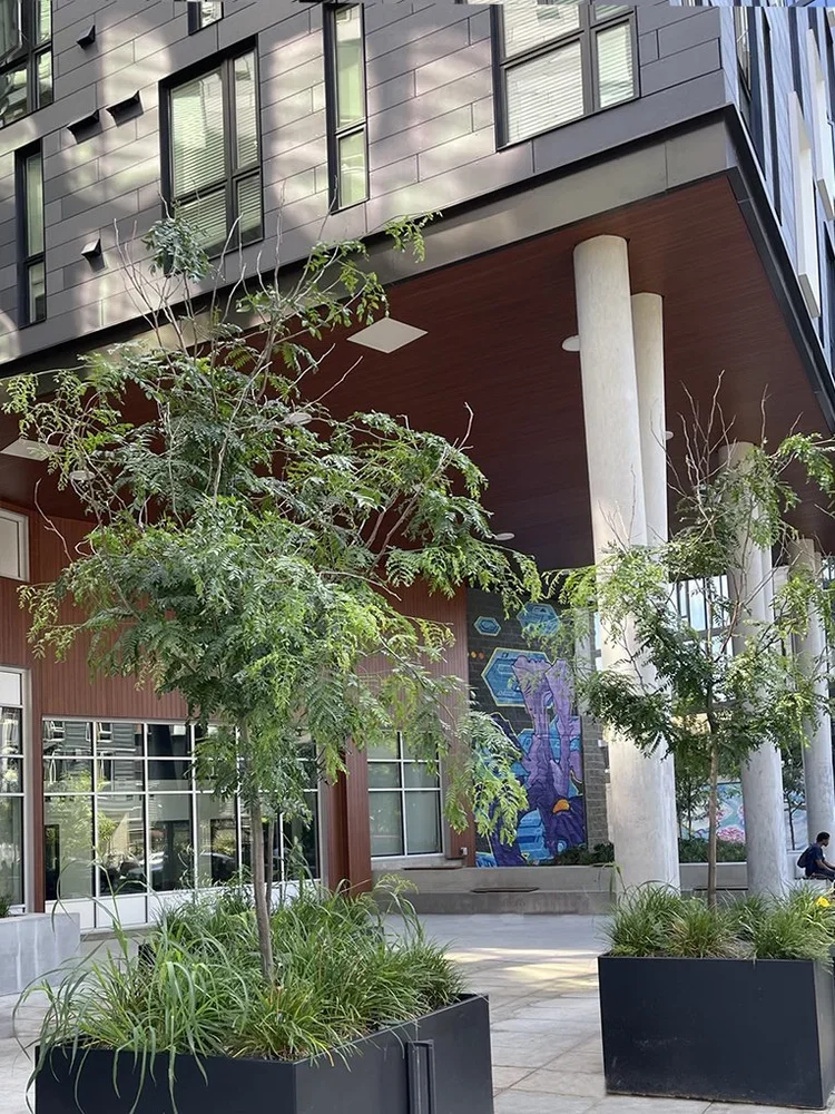 Here+Seattle+-+18034_29.webp