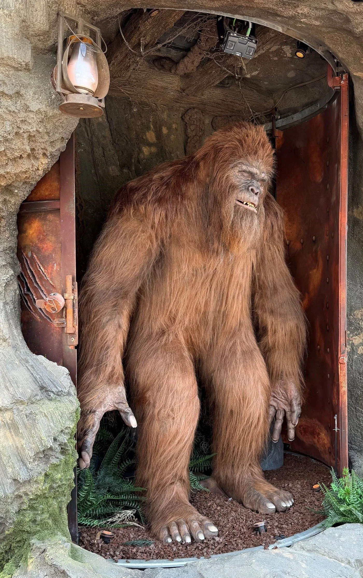 Just in time to terrify tourists, Sasquatch Mountain opens at Pier 57