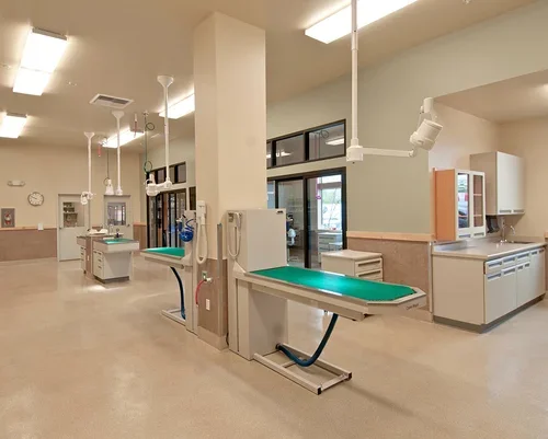 b vet hospital.webp