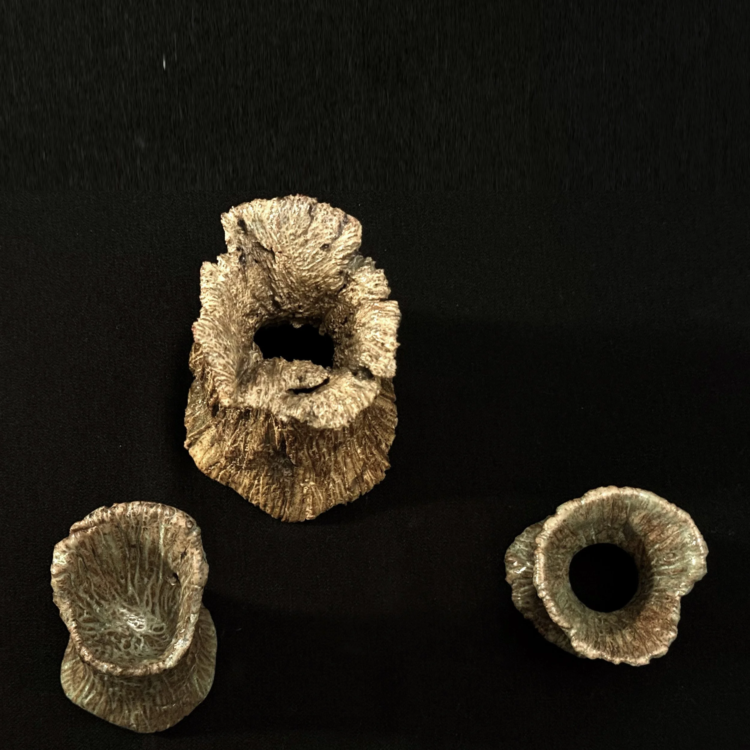 Series 45 | Petrifier Stumps tt.jpg
