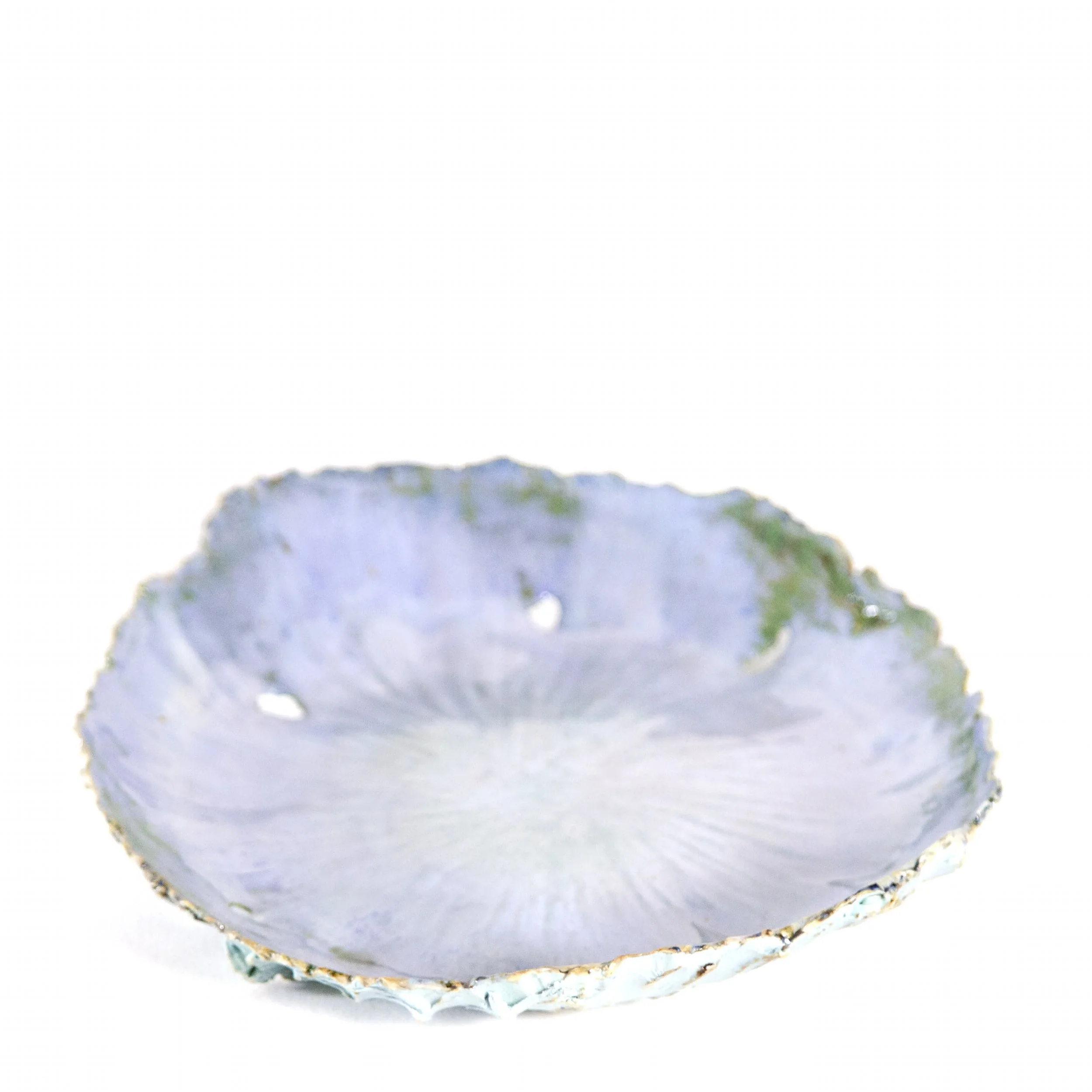 Series 19 | Sea Blossom 12P t.jpg