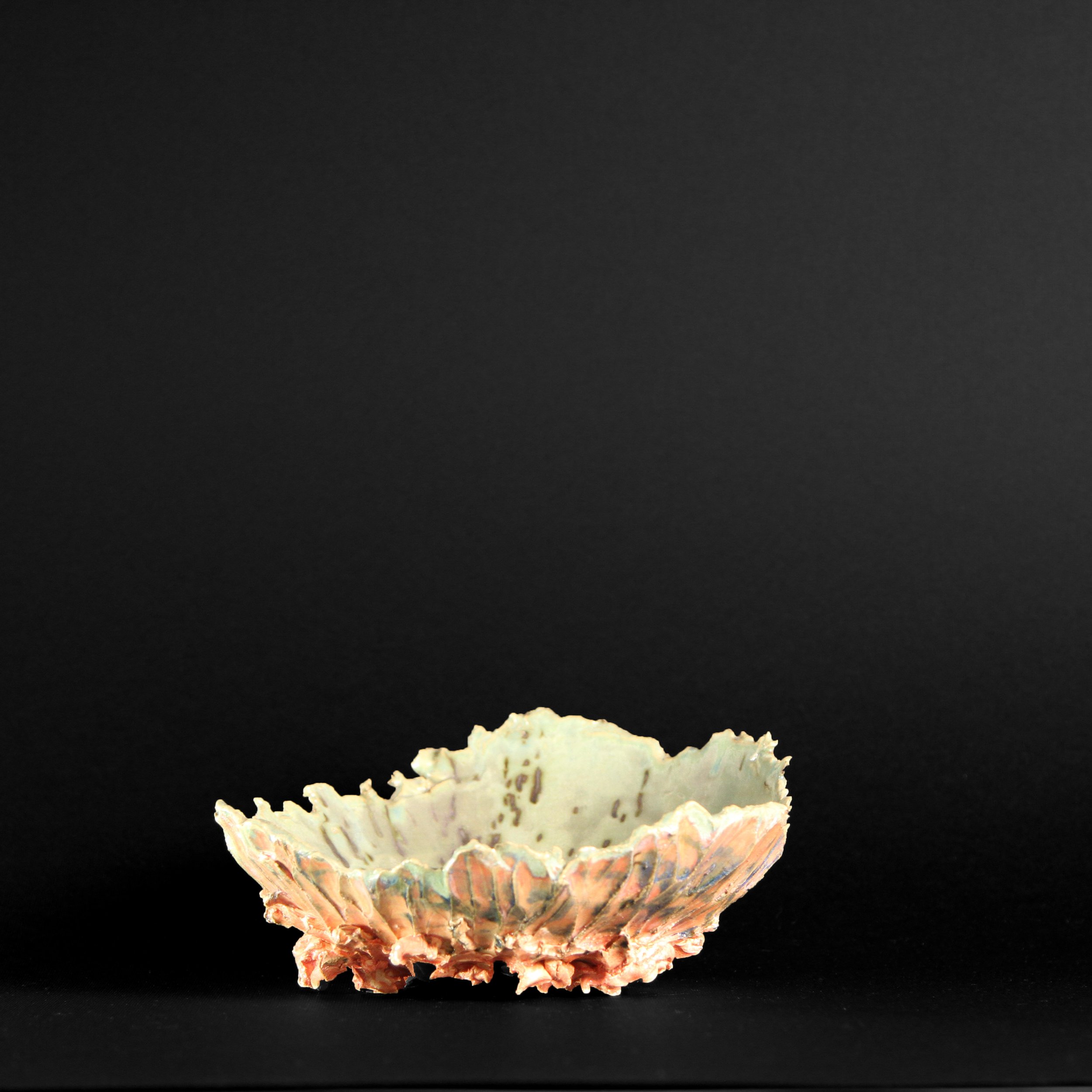 Series 18 | UmmOhh Sea Blossom s.JPG