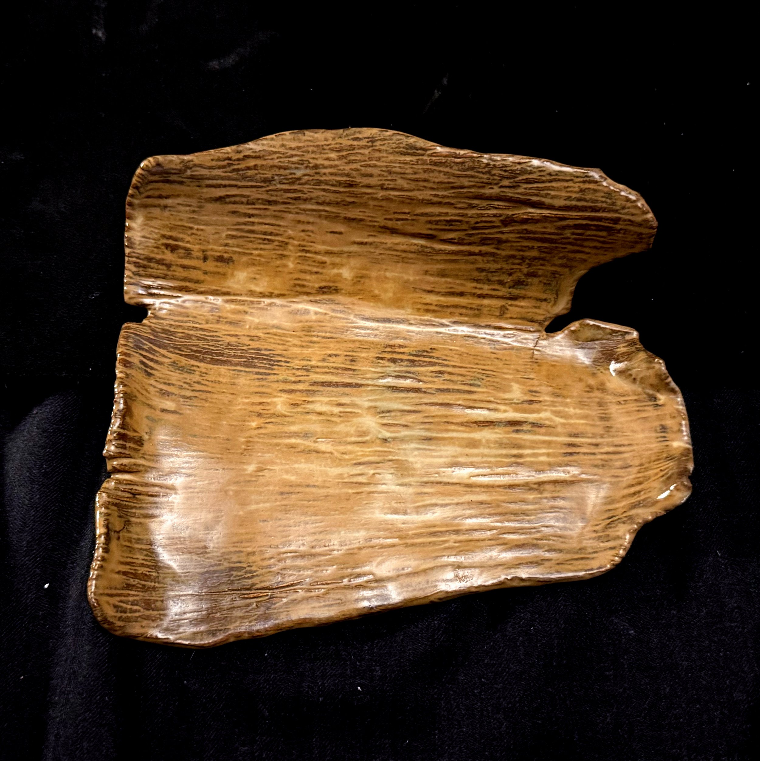 Series 45 | Petrifier Bark t.jpg