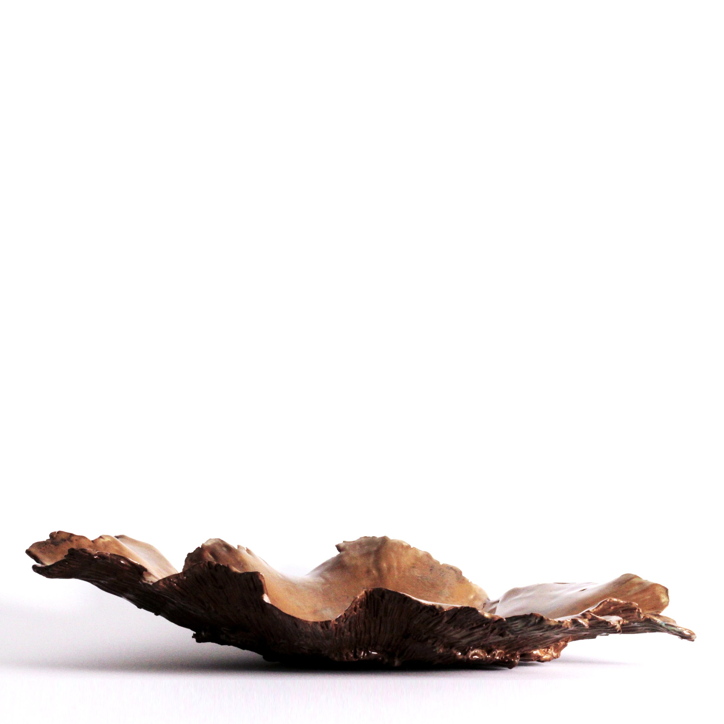 Series 47 | Lapas-1 s Oyster.JPG