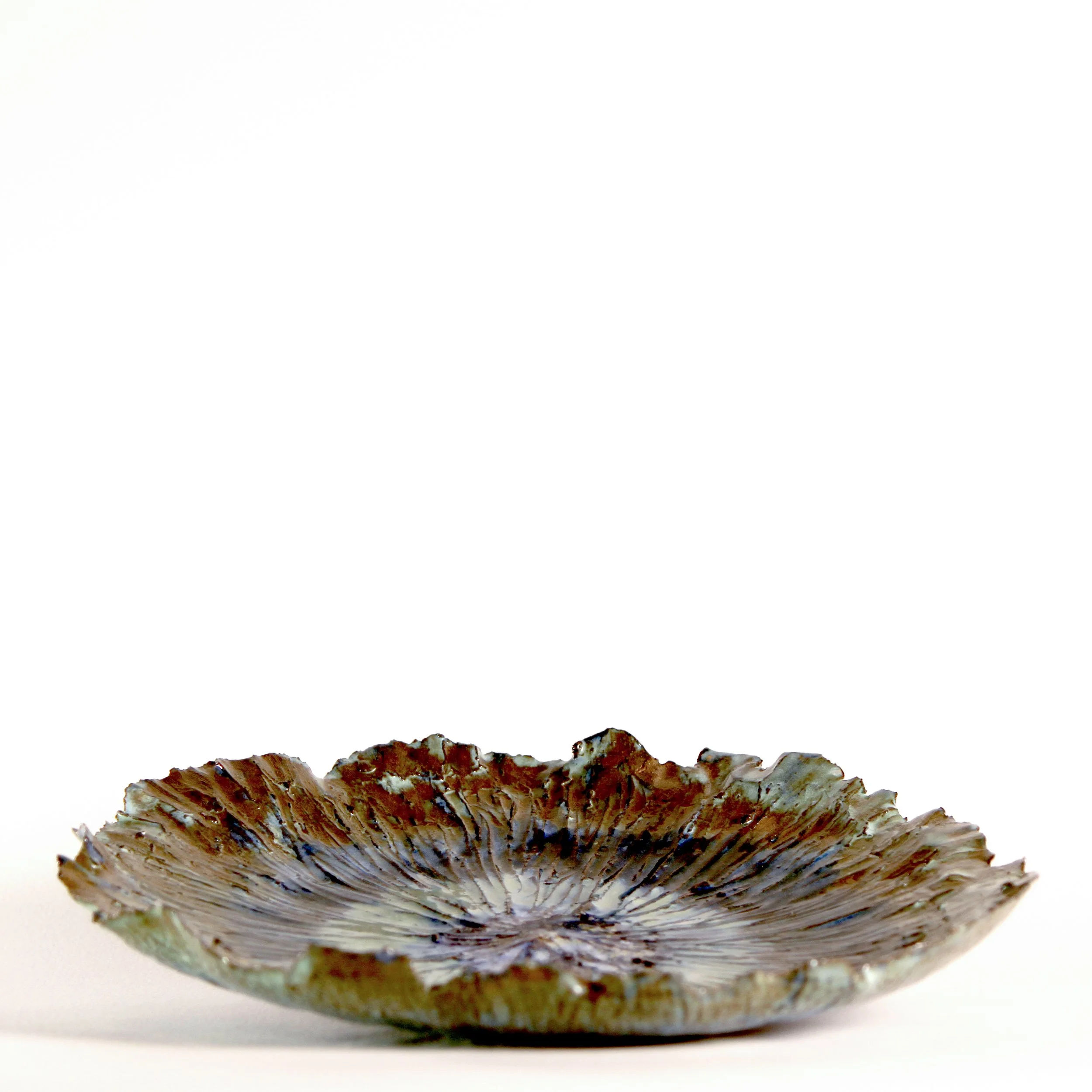 Series 19 | Sea Lettuce 3 t.JPG