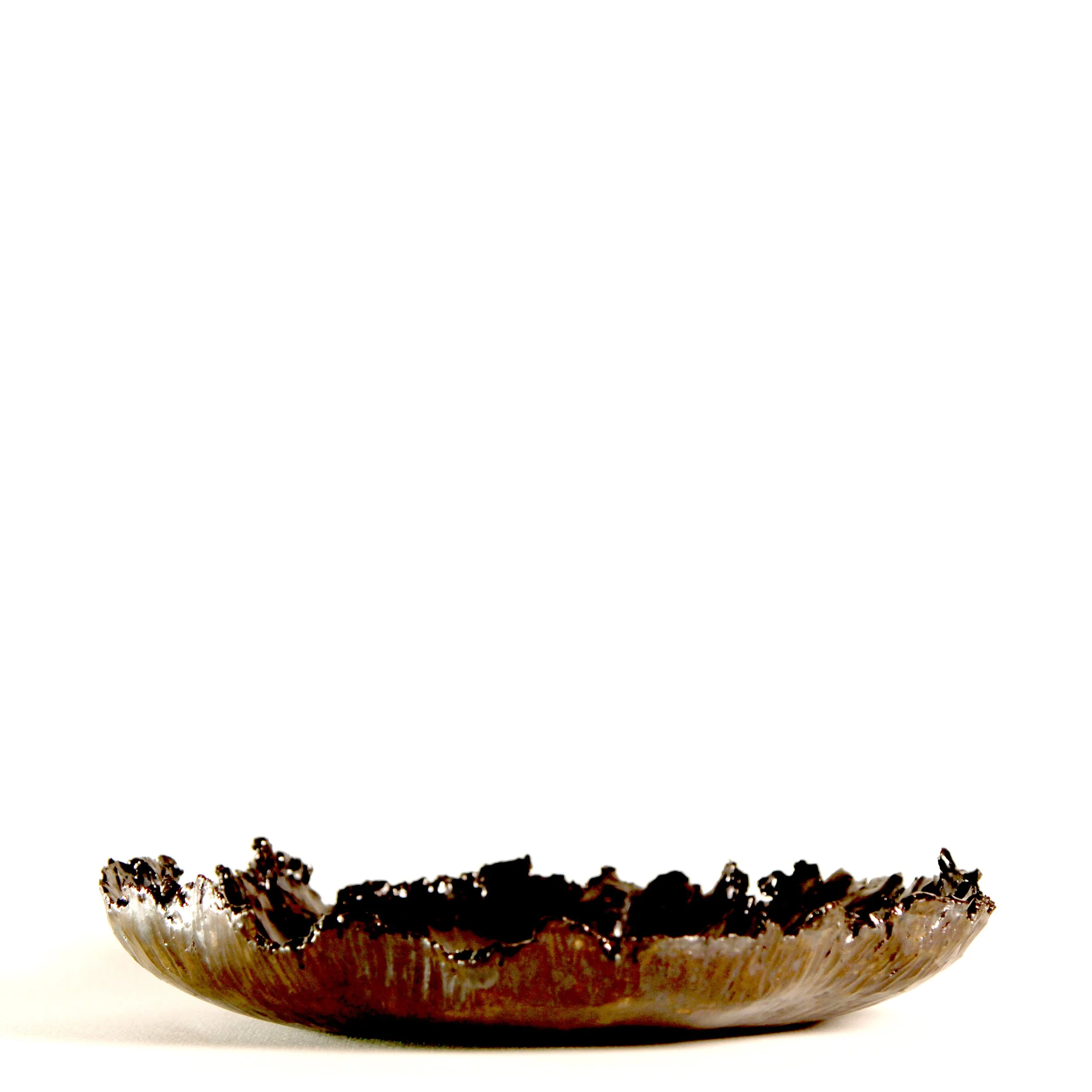 Series 19 | Sea Lettuce 2 s.JPG