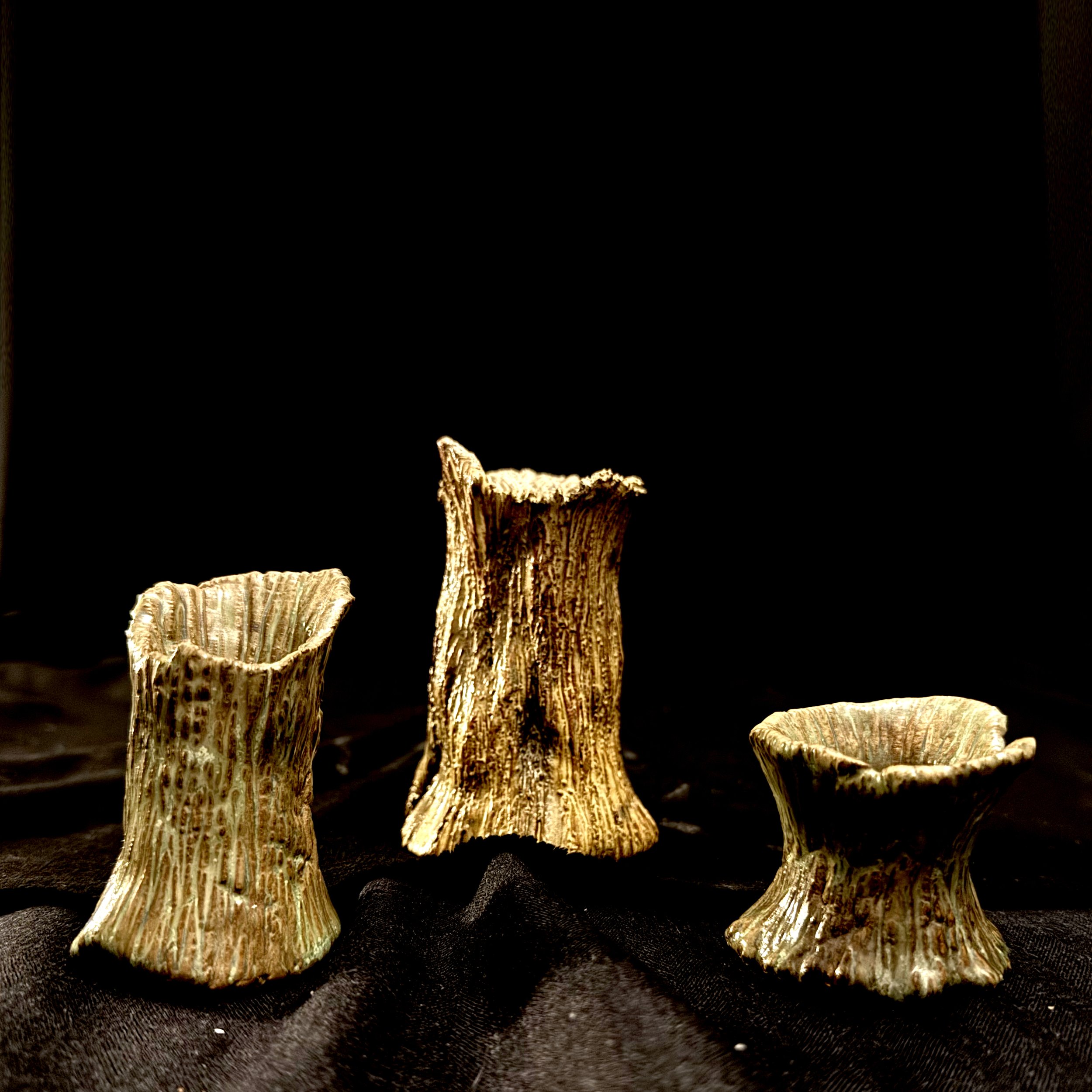 Series 45 | Petrifier - stumps.jpg