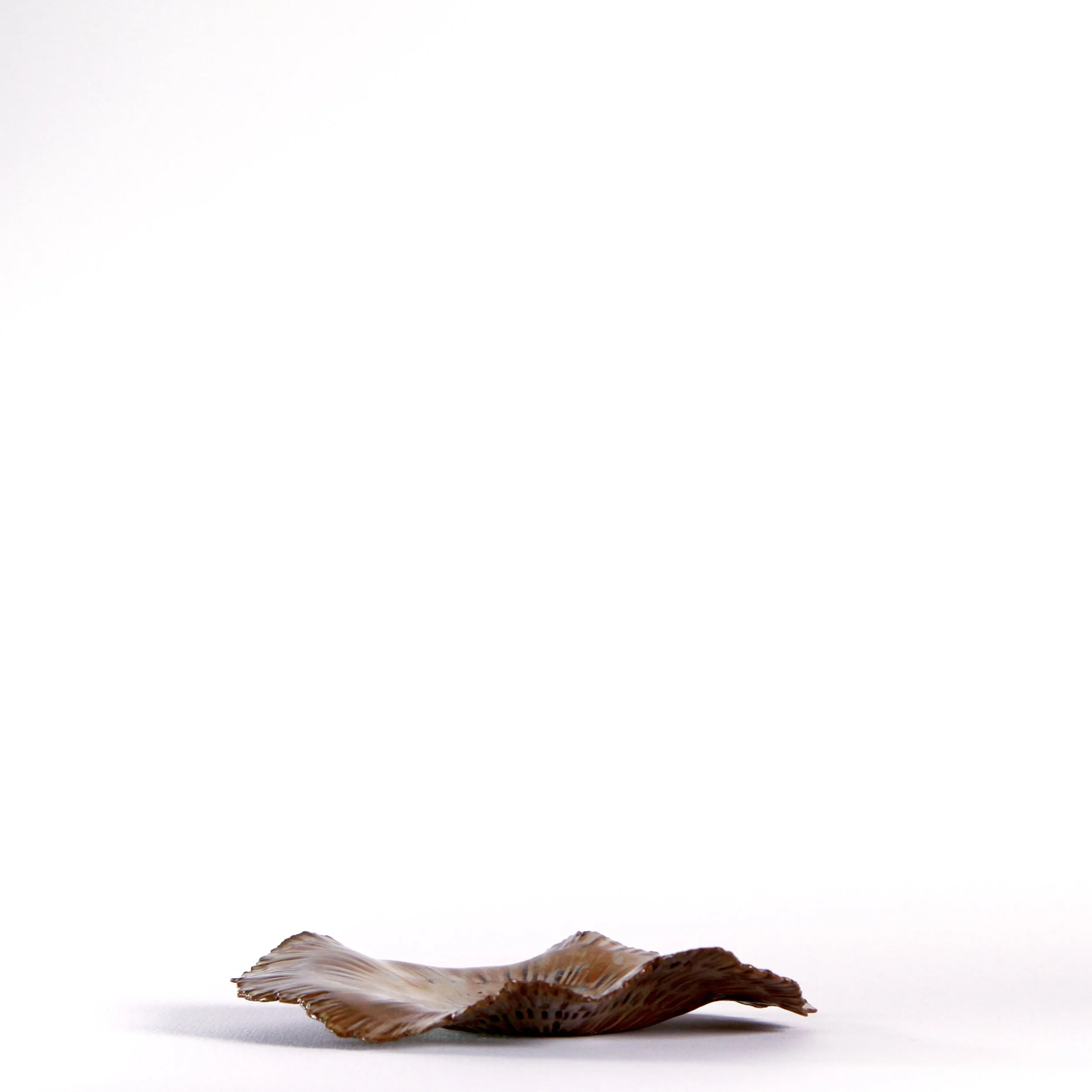 Series 30 | Spiral minners s.JPG
