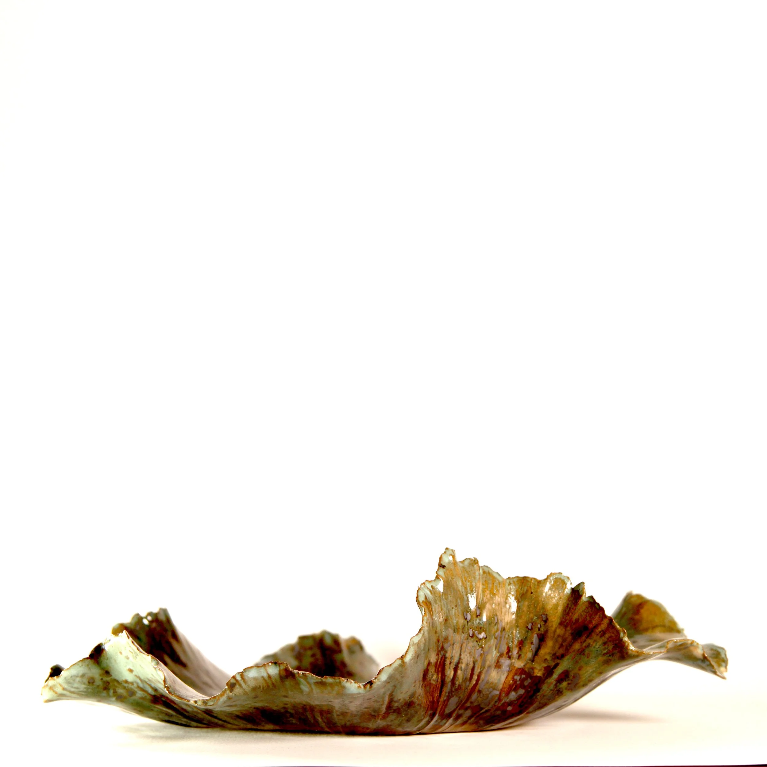 Series 28 | Romaine s.JPG