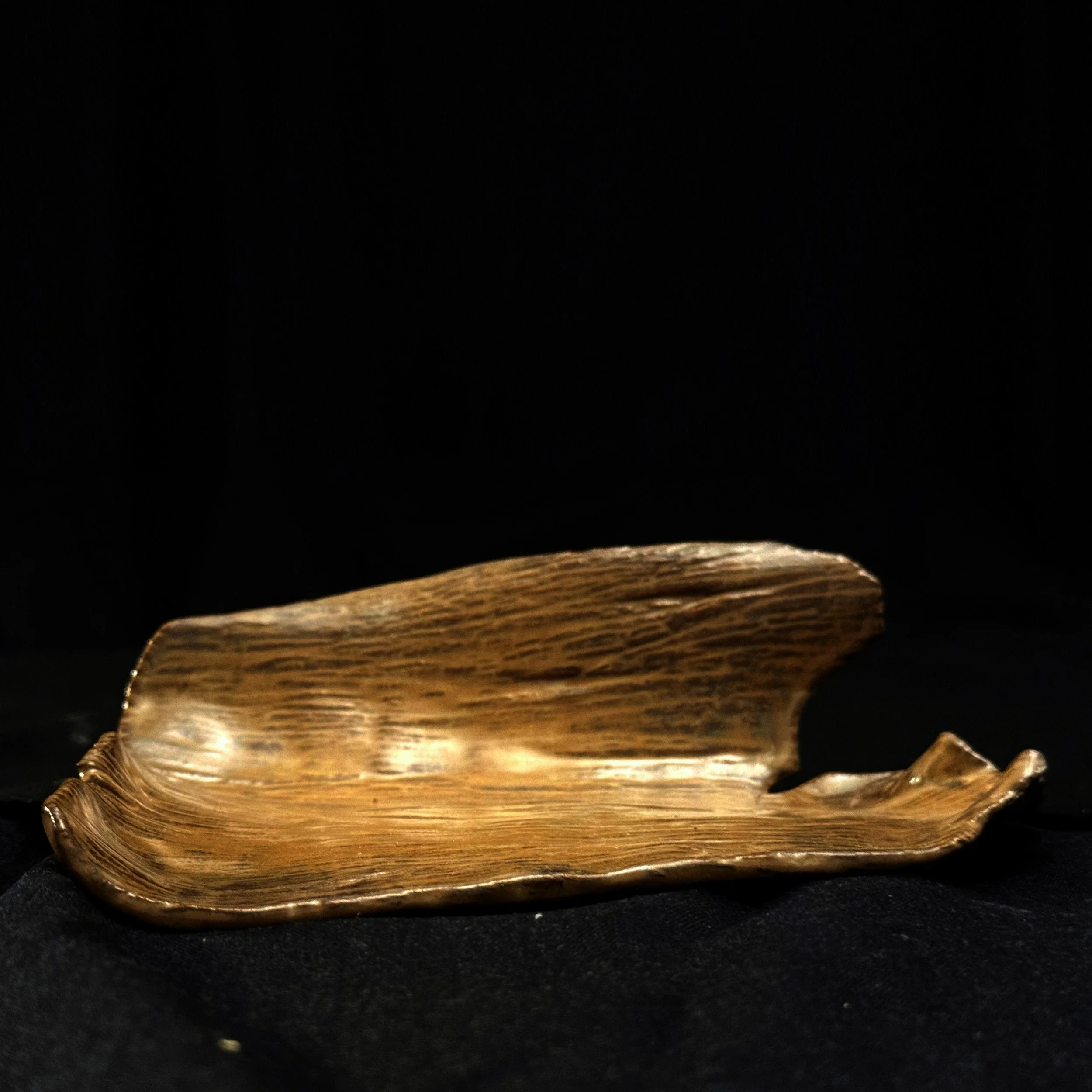 Series 45 | Petrifier Bark s.jpg