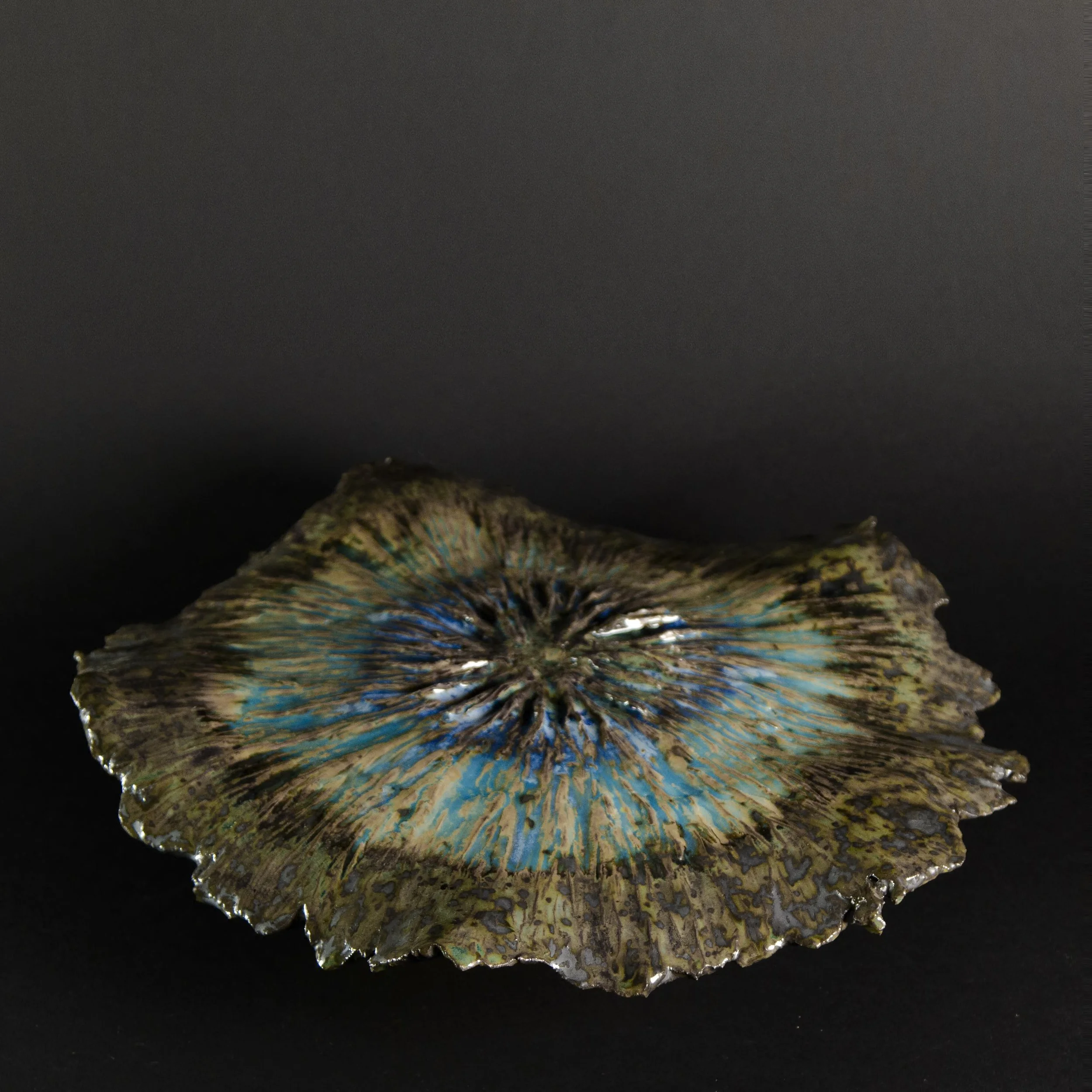 Series 16 | Cake Plate ta.jpg
