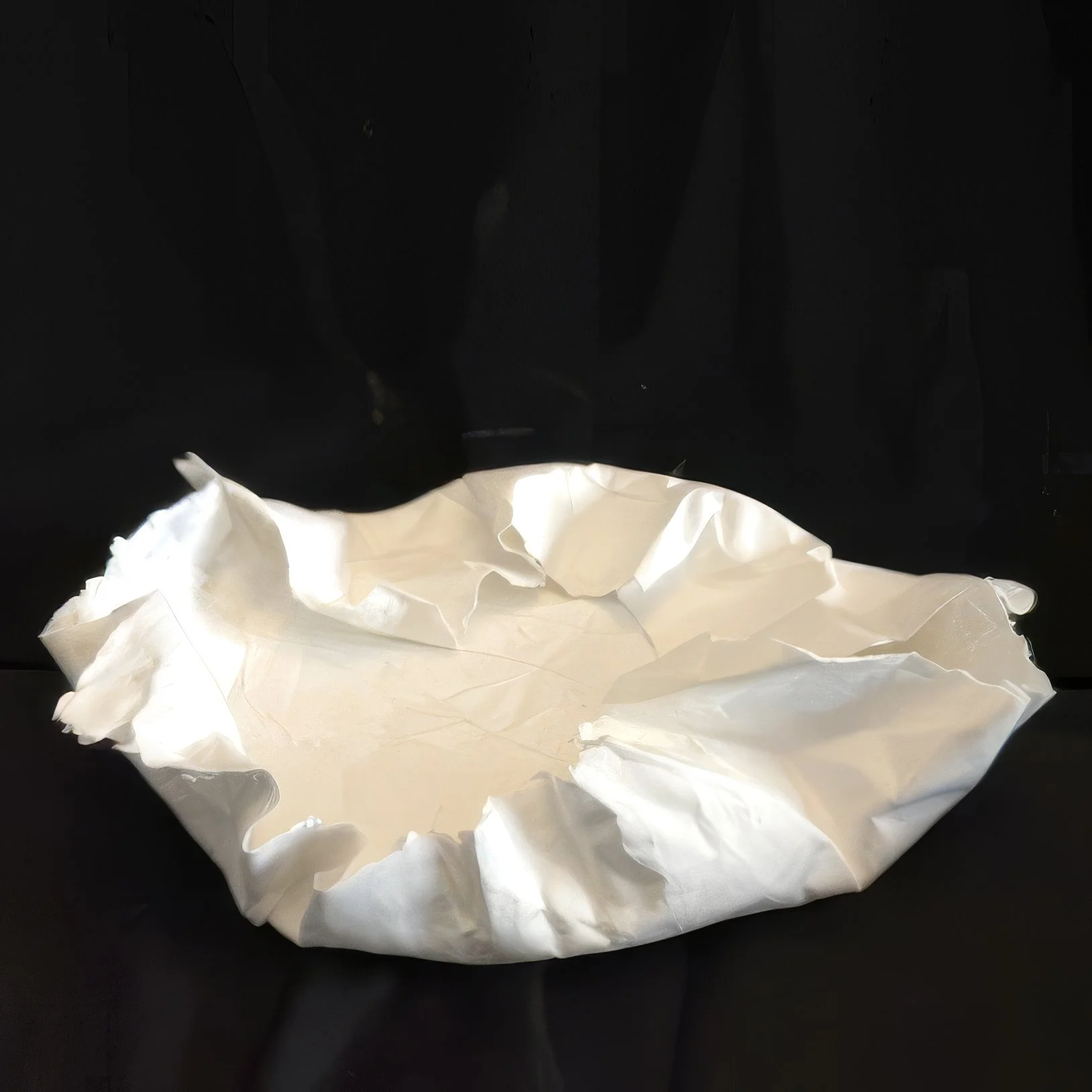 Series 40.2 | Papelado Bowl t.jpg